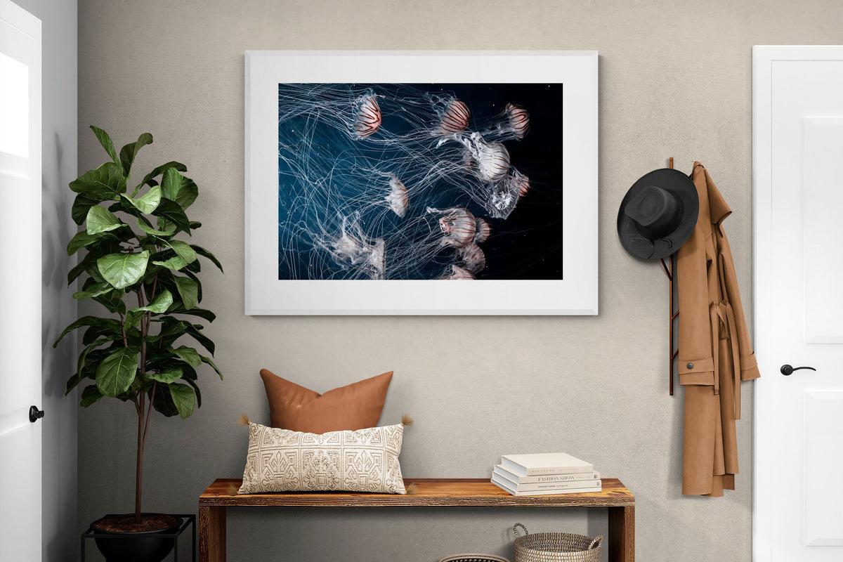 Pixalot ® Surging Jellyfish