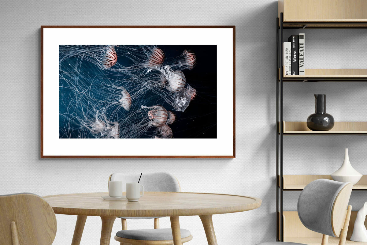 Pixalot ® Surging Jellyfish