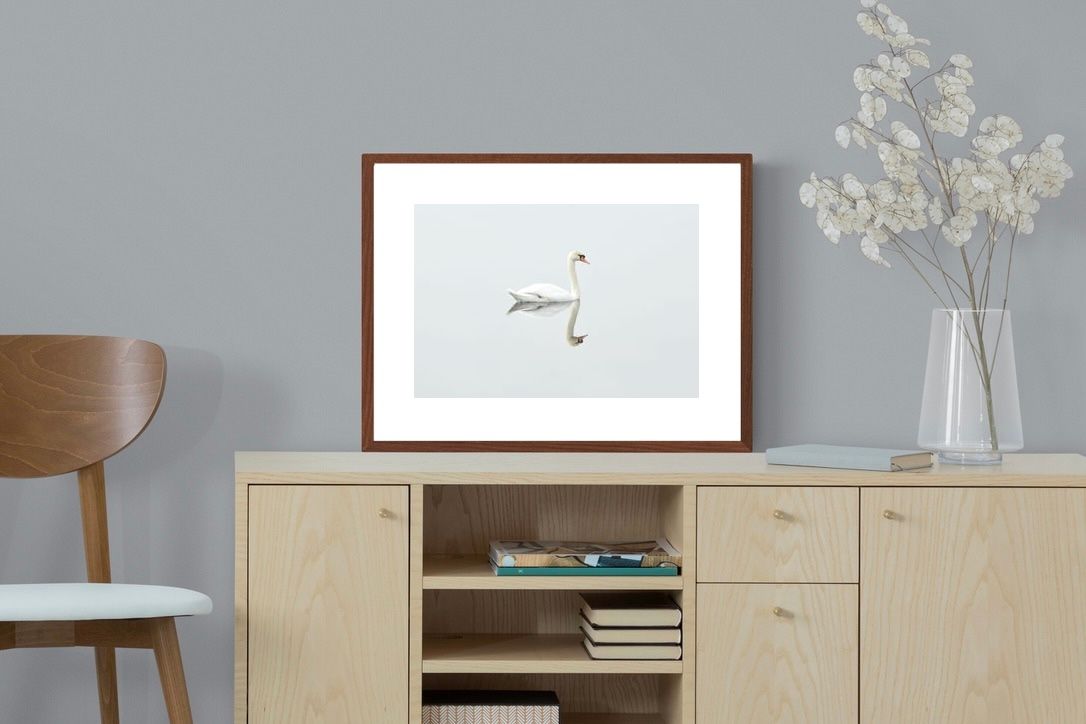 Pixalot ® Swan