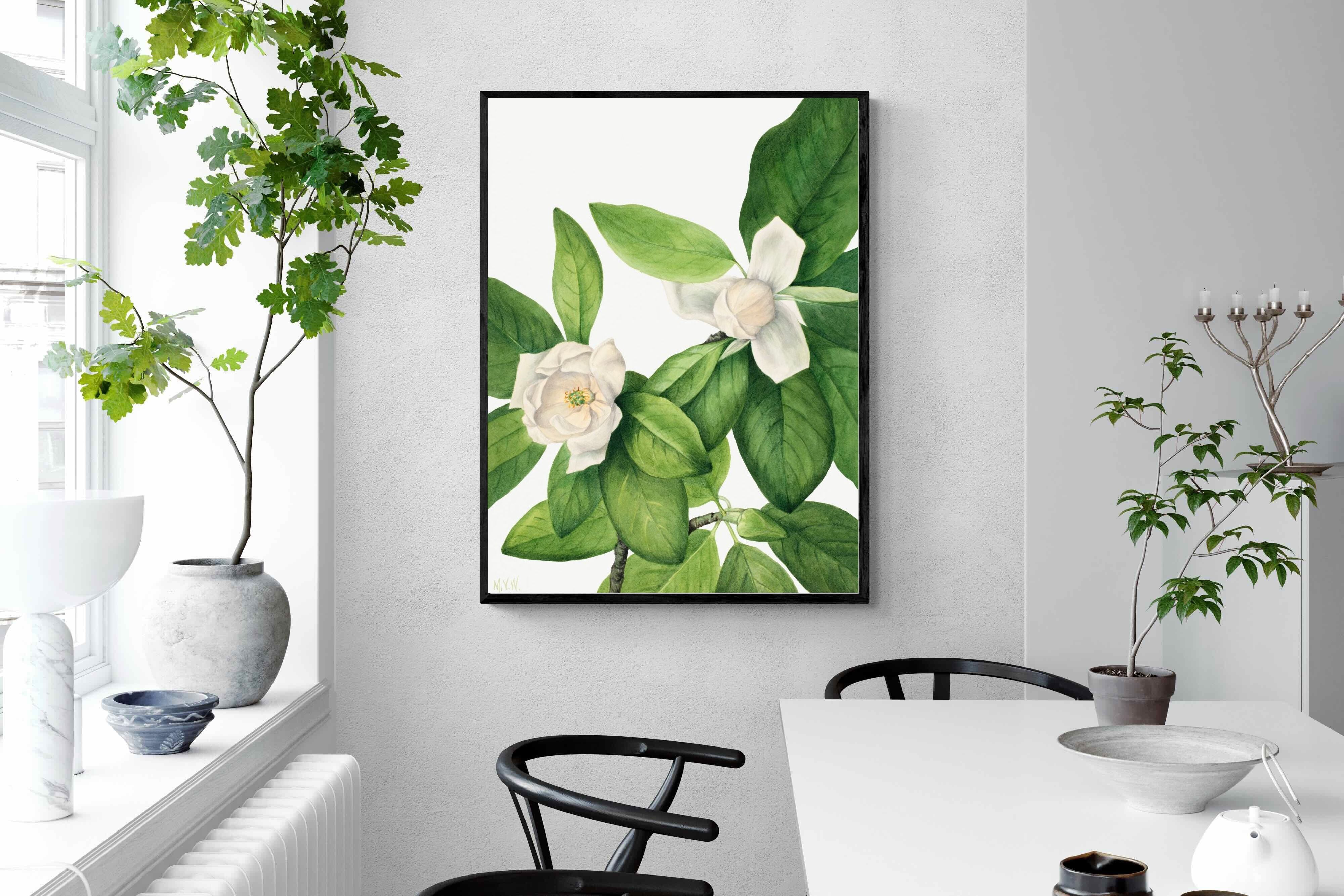 Pixalot Sweetbay