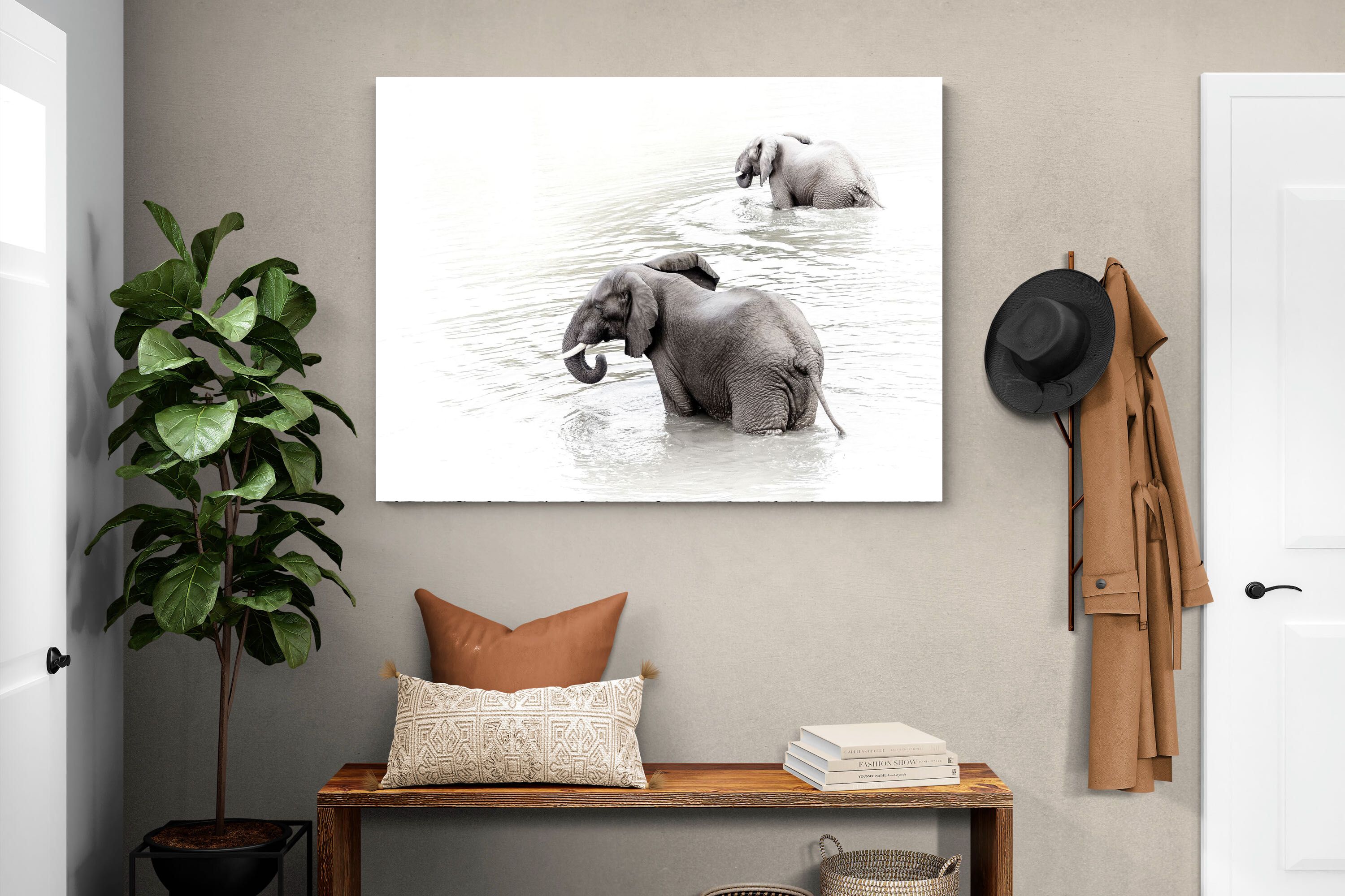 Pixalot Swimming Elephants (Landscape)