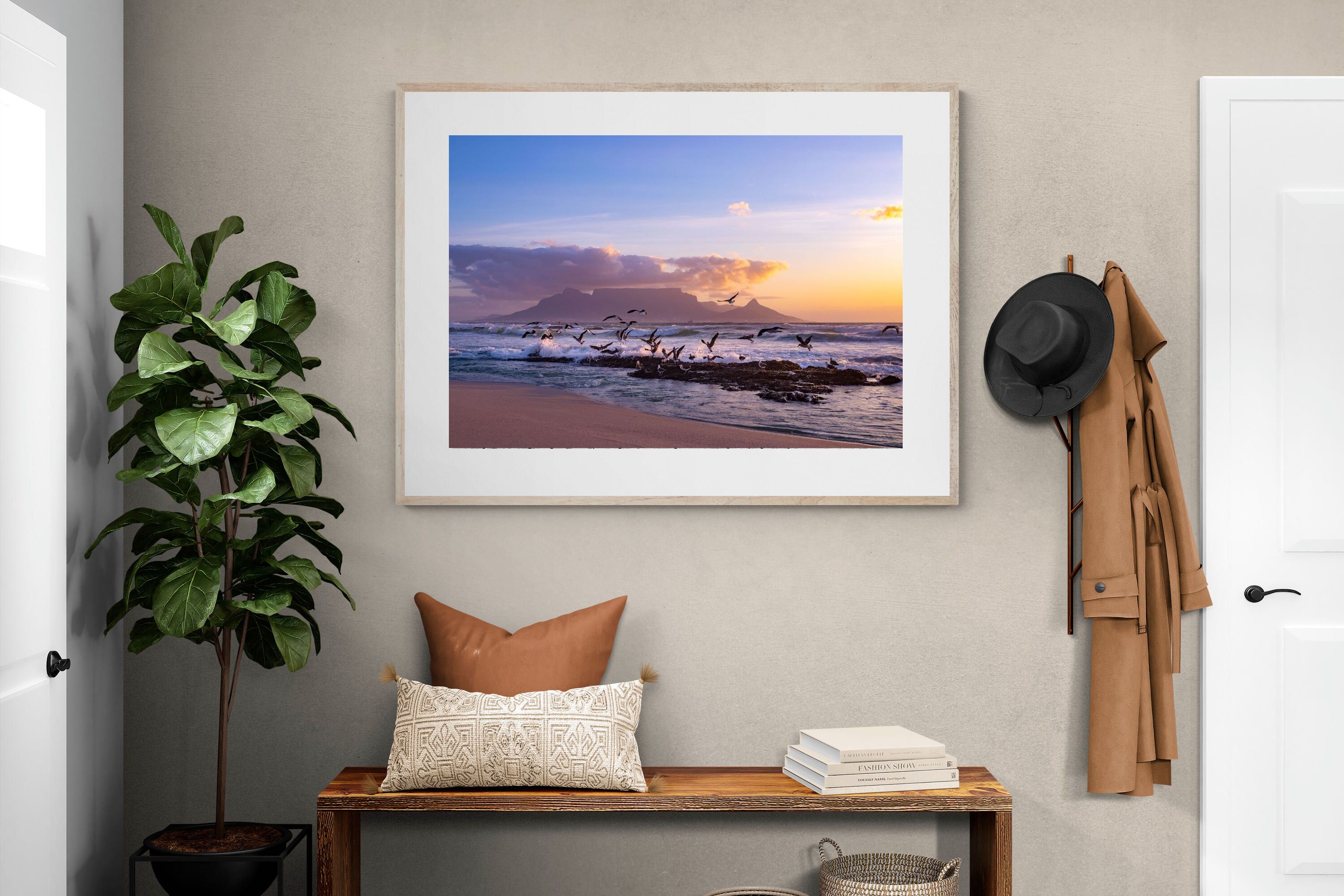 Pixalot Table Mountain Gulls