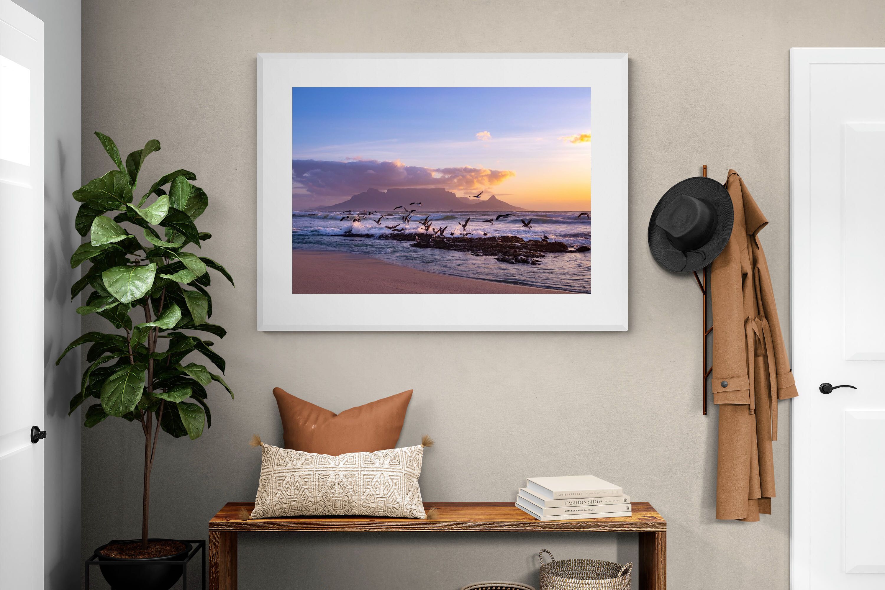 Pixalot Table Mountain Gulls