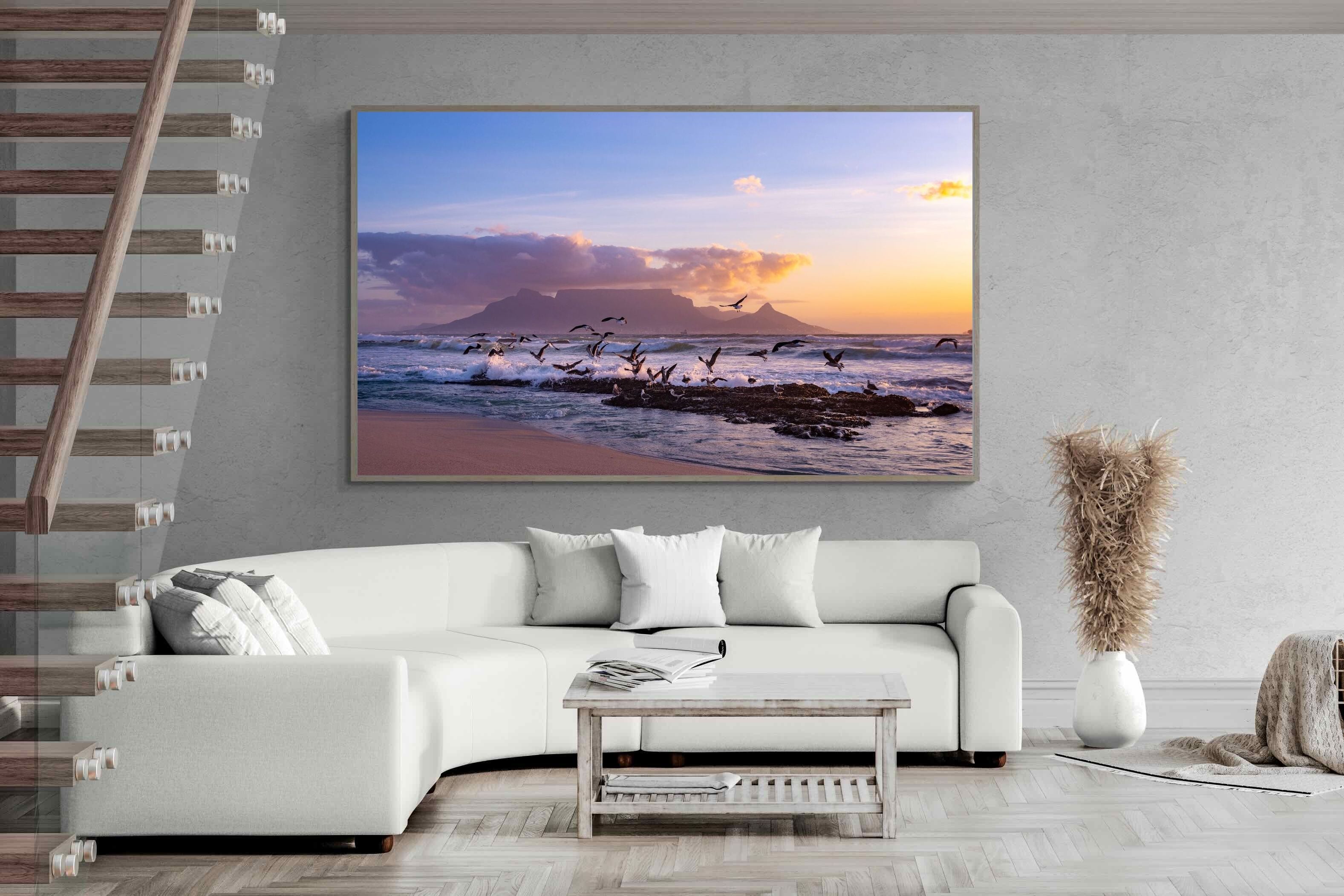 Pixalot Table Mountain Gulls