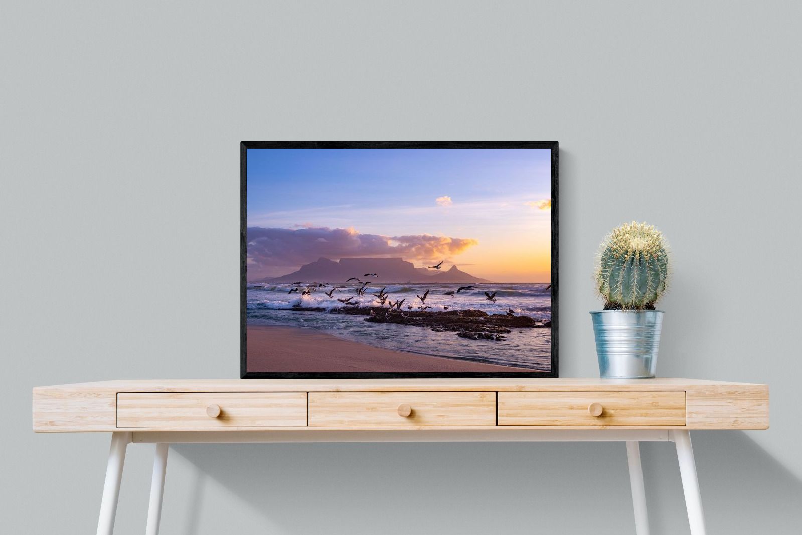 Pixalot Table Mountain Gulls