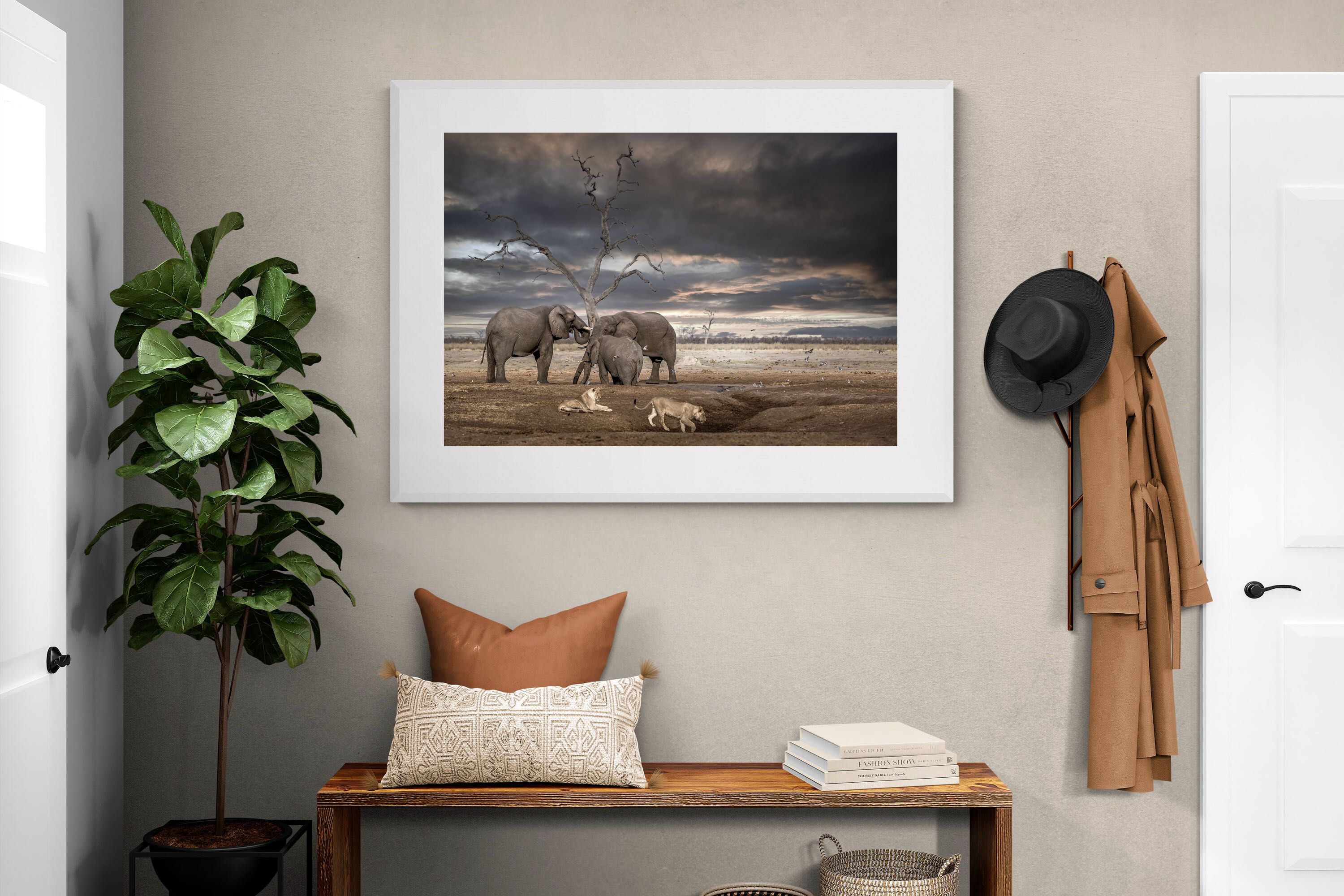 Pixalot Tension at Dusk