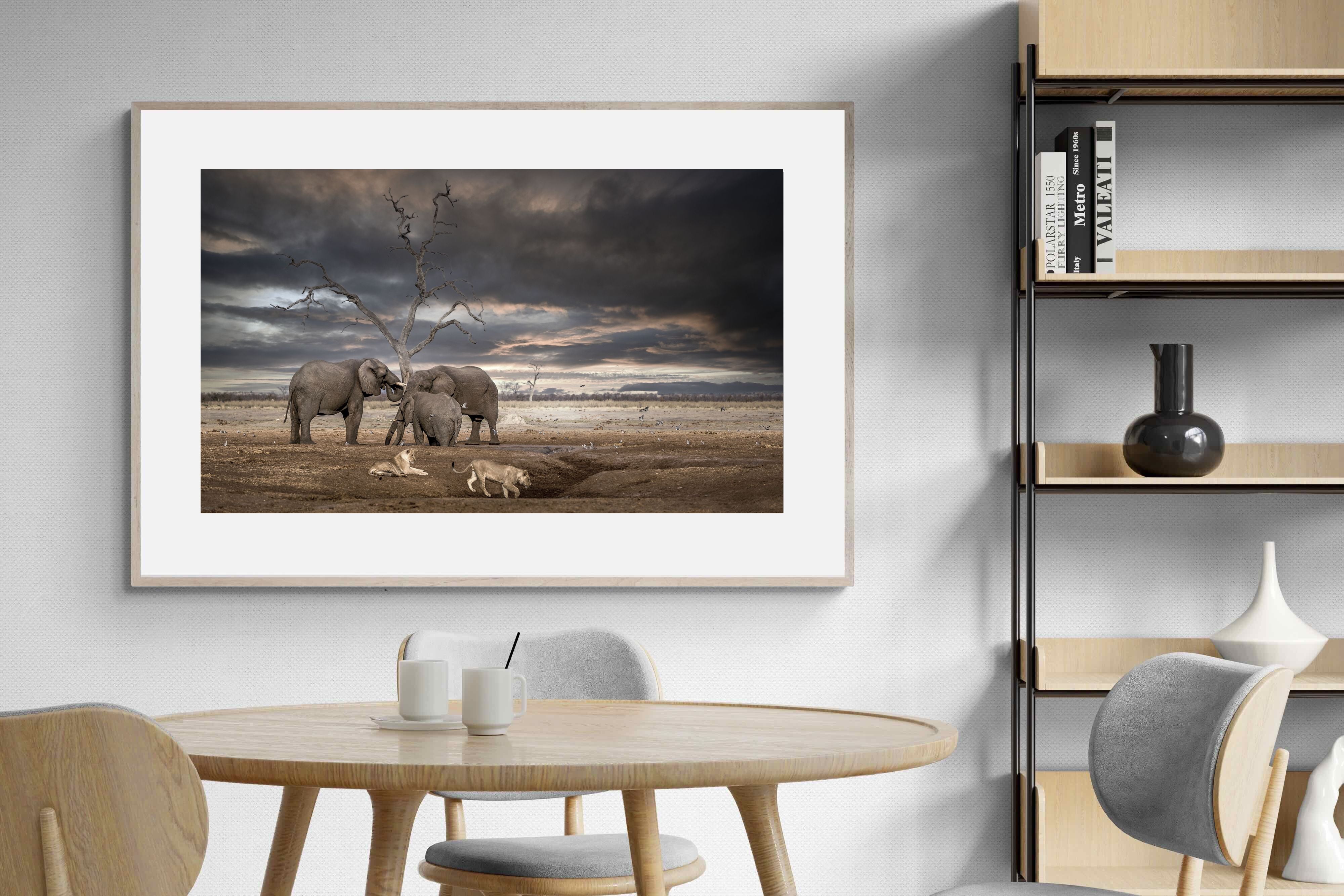 Pixalot Tension at Dusk