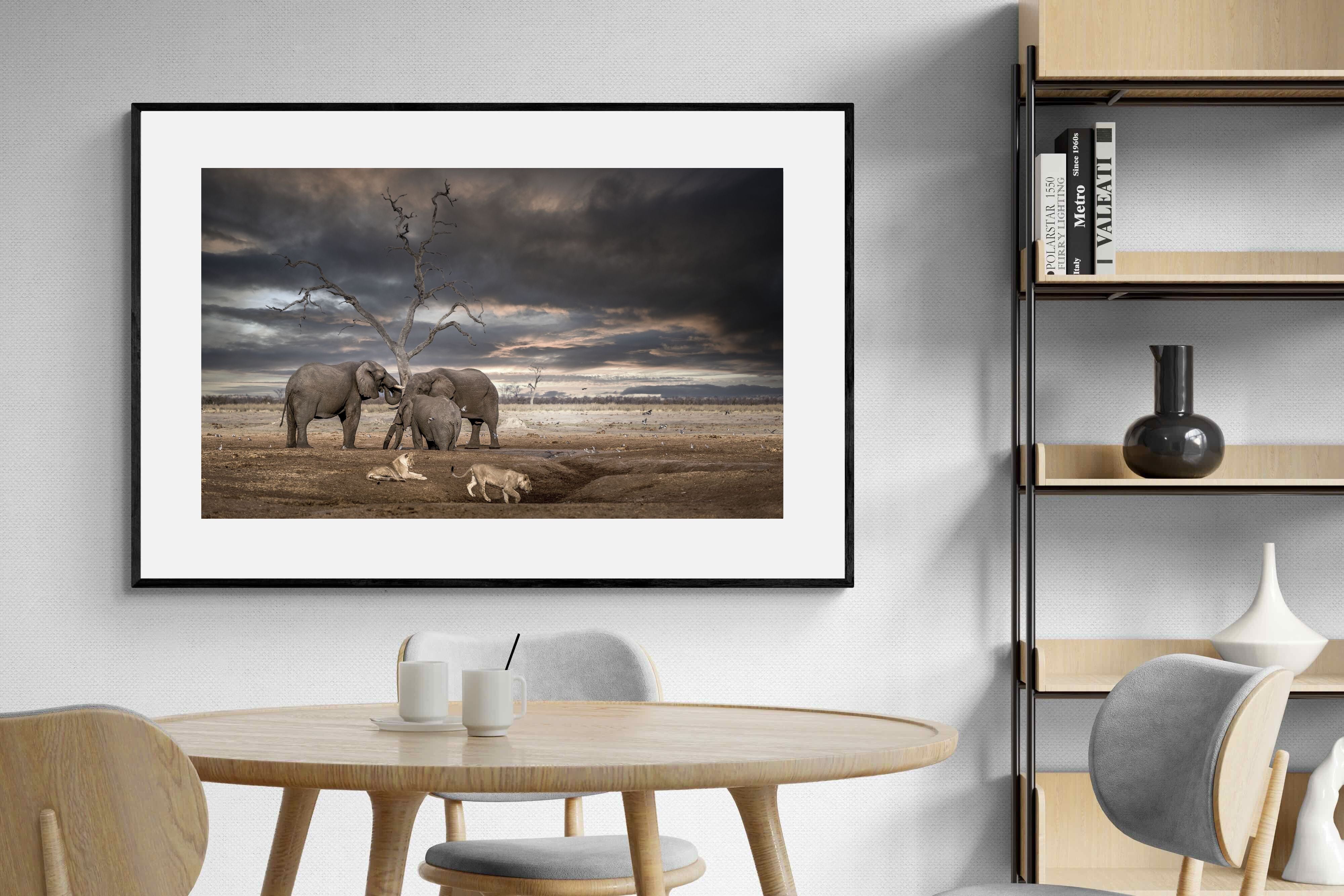 Pixalot Tension at Dusk