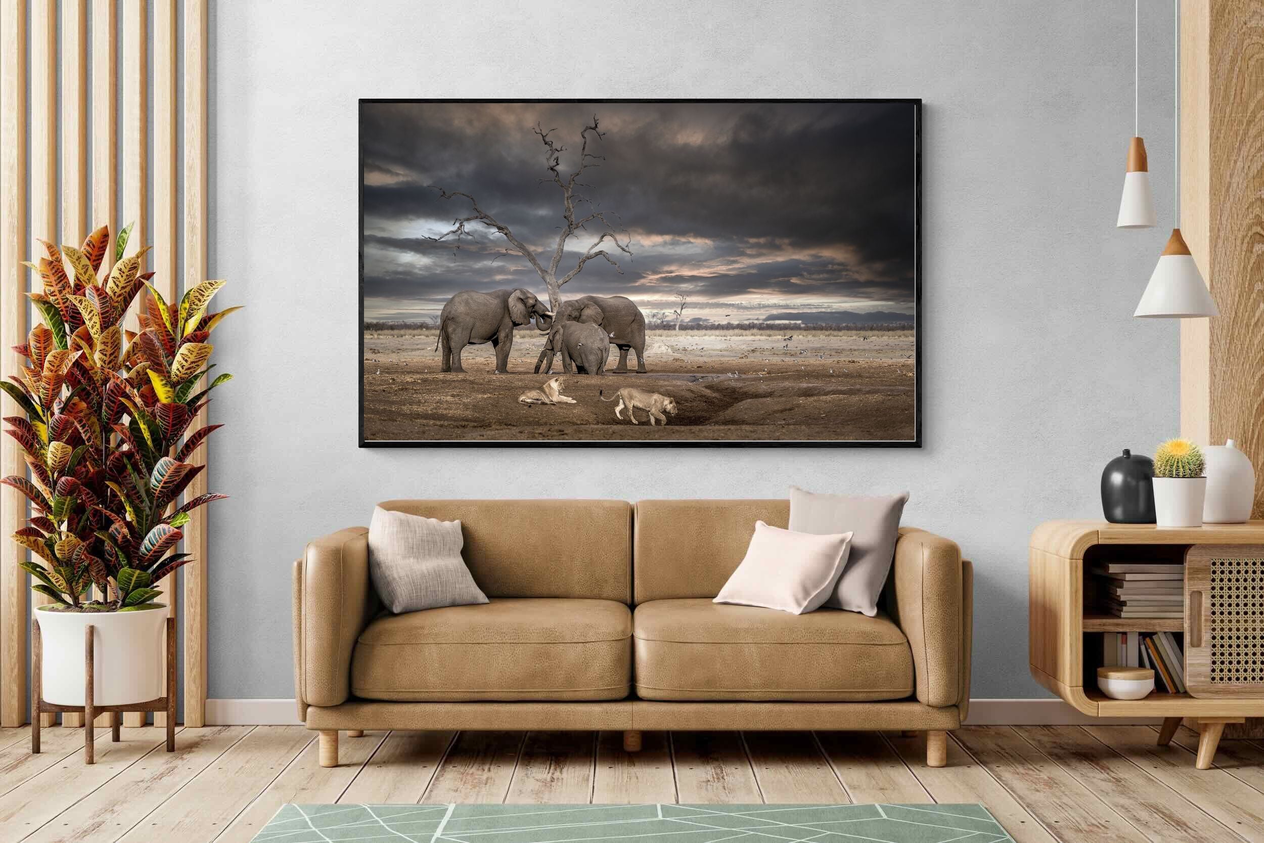 Pixalot Tension at Dusk