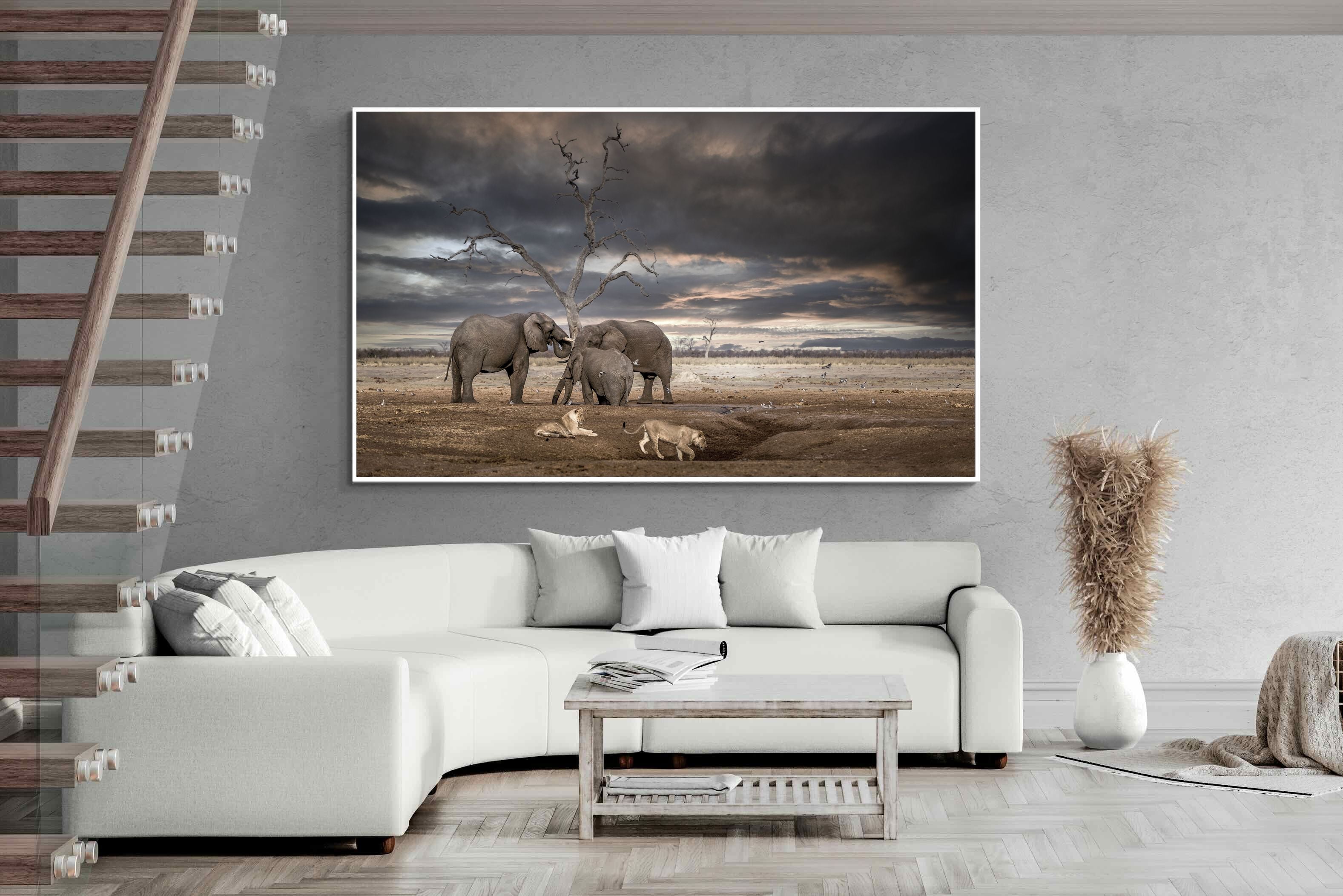 Pixalot Tension at Dusk