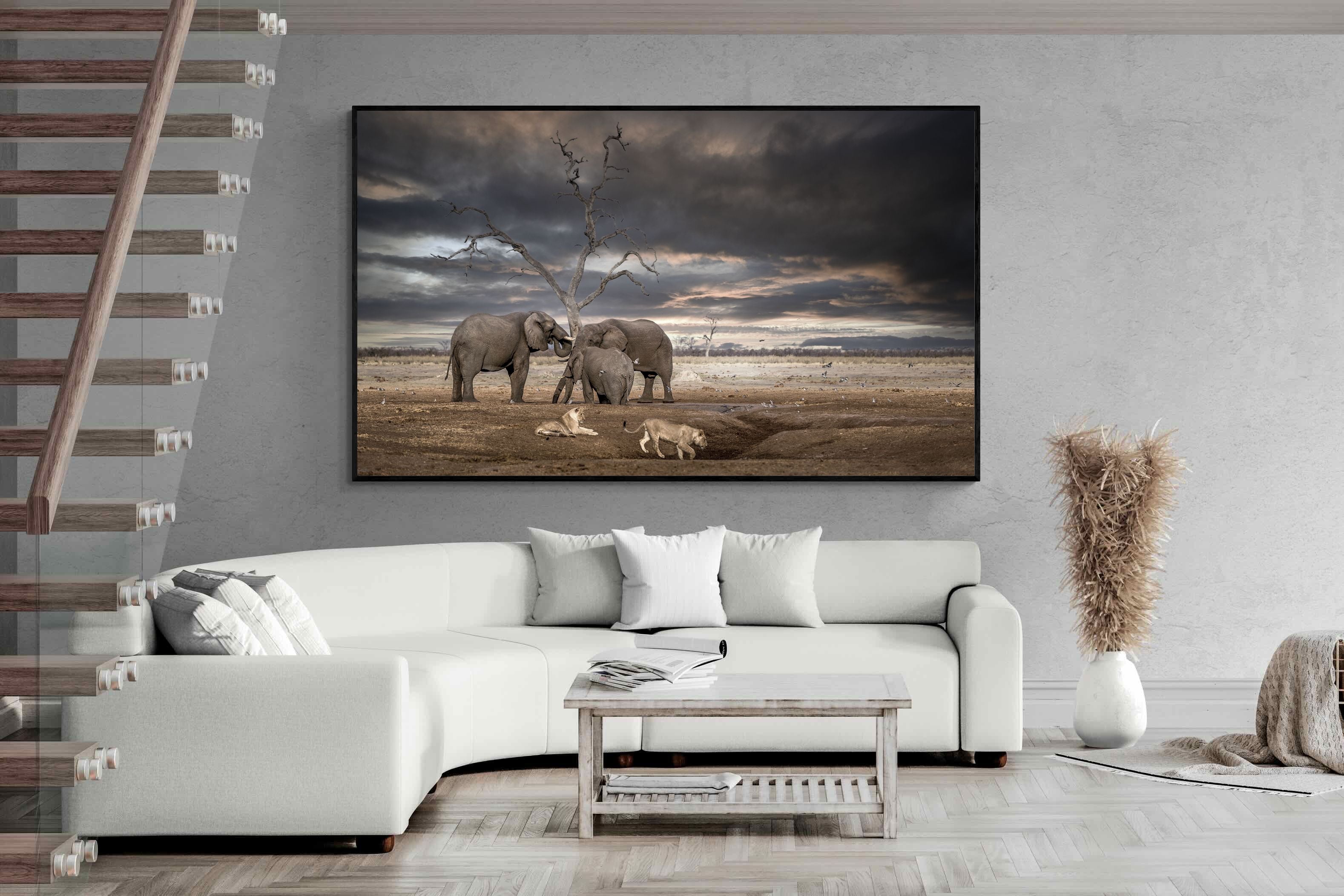 Pixalot Tension at Dusk