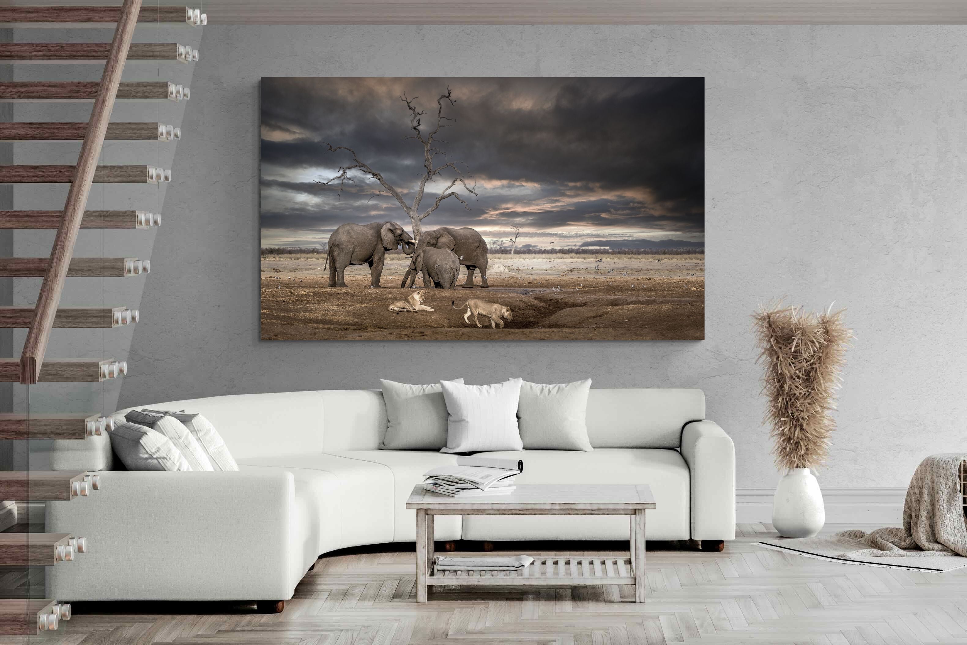 Pixalot Tension at Dusk