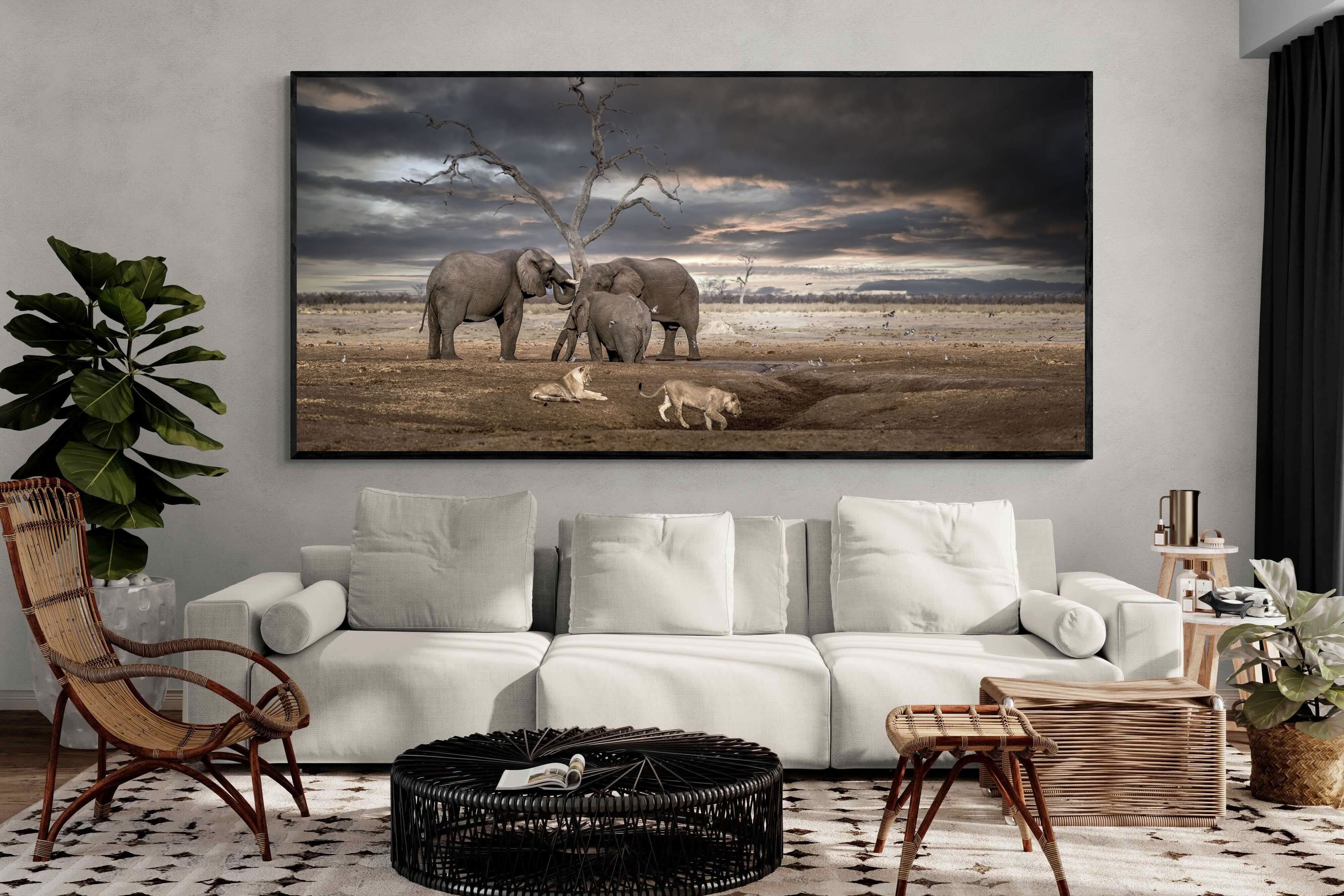 Pixalot Tension at Dusk