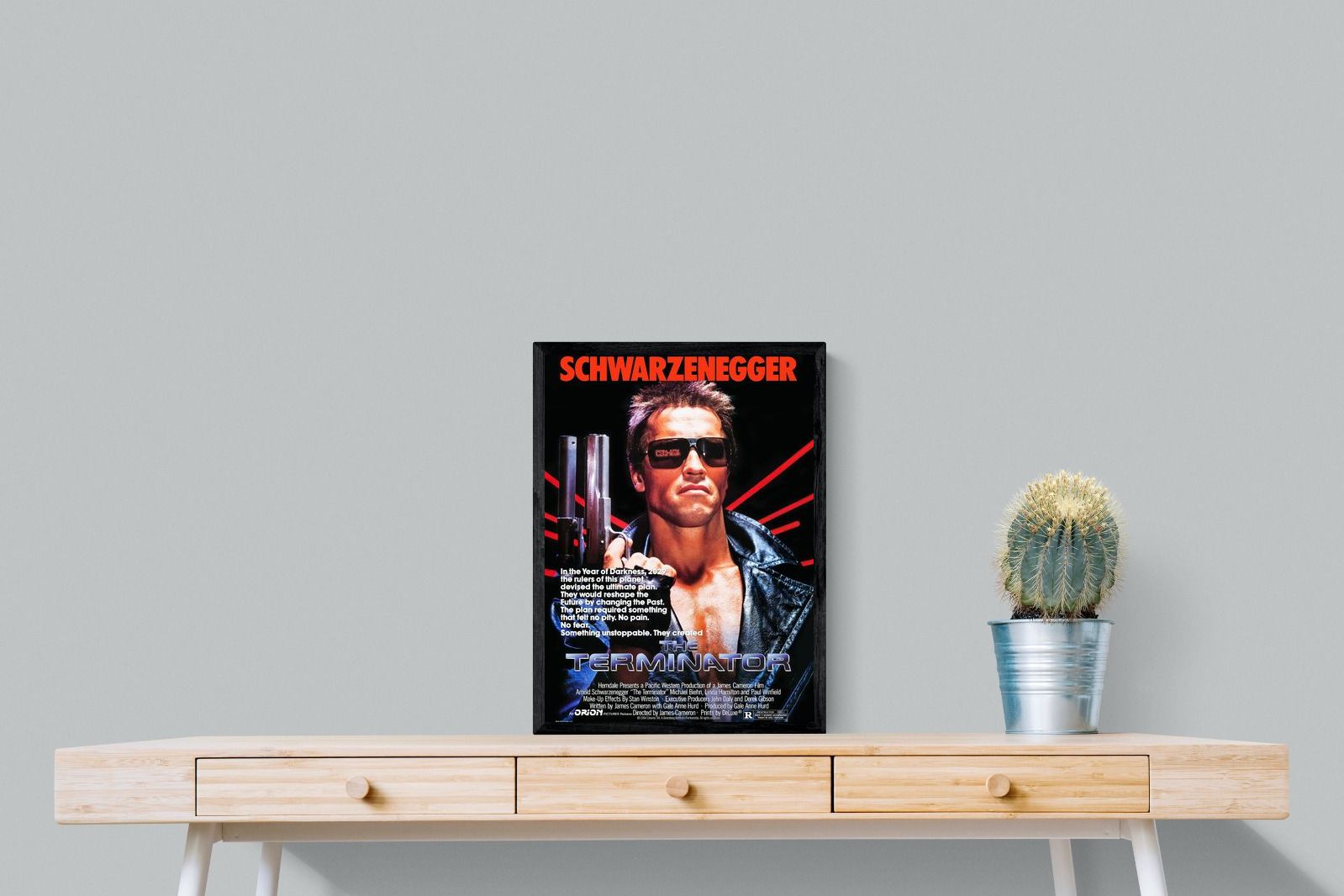 Pixalot Terminator