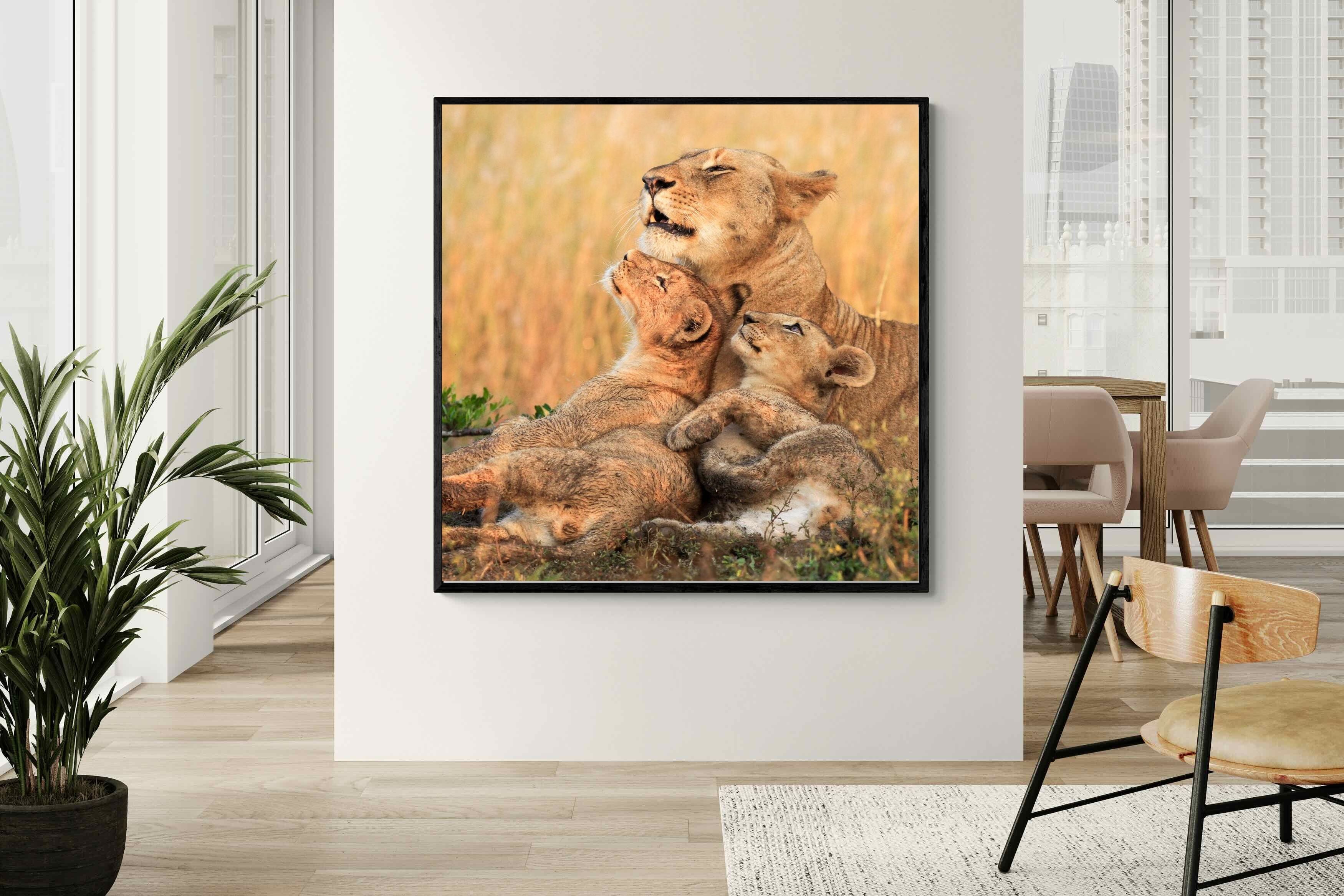 Pixalot Lioness Embrace