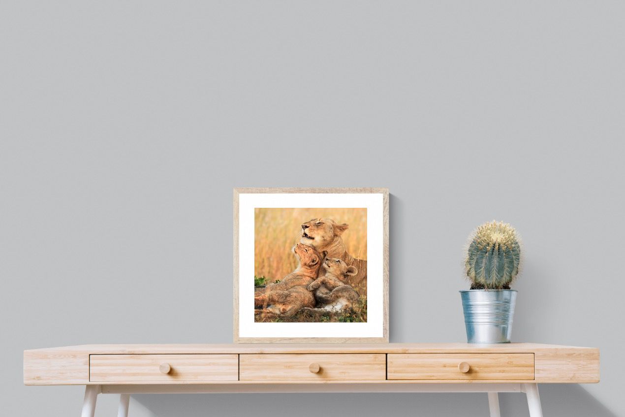 Pixalot Lioness Embrace