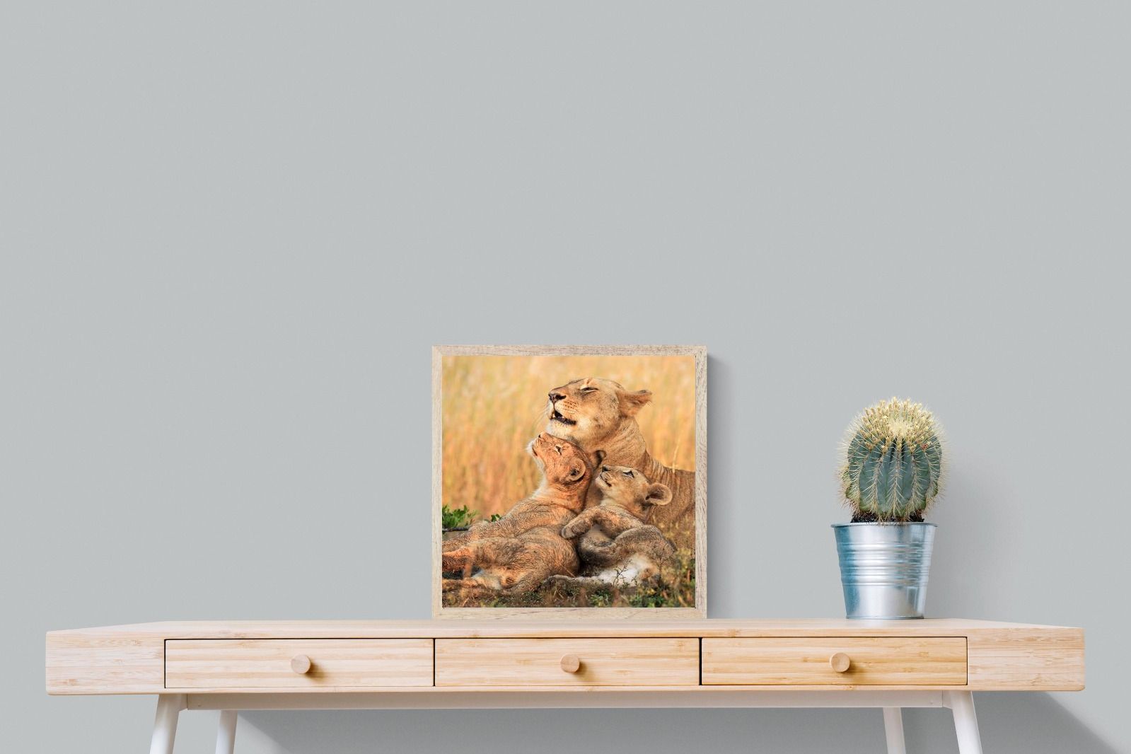 Pixalot Lioness Embrace