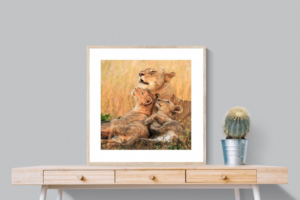 Pixalot Lioness Embrace