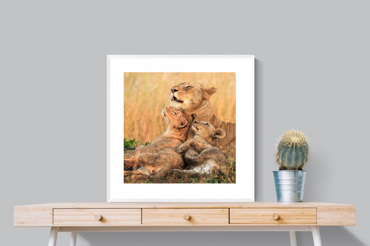 Pixalot Lioness Embrace
