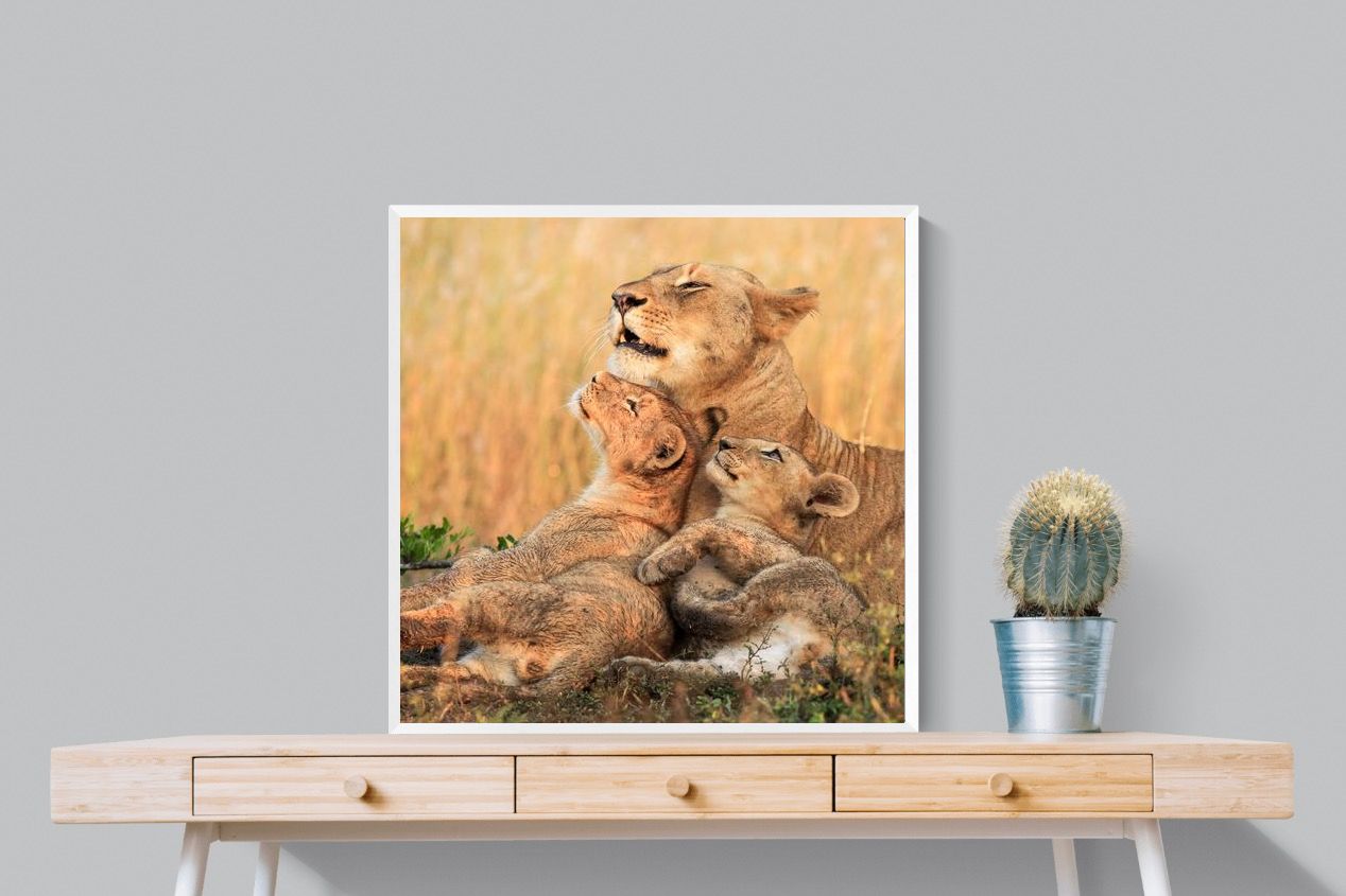 Pixalot Lioness Embrace