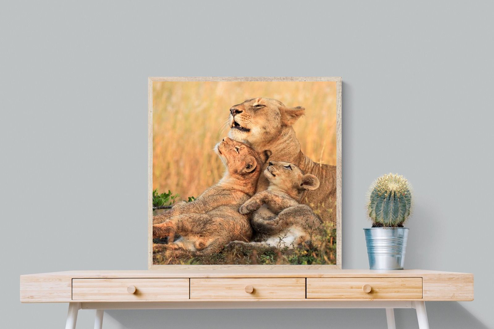 Pixalot Lioness Embrace