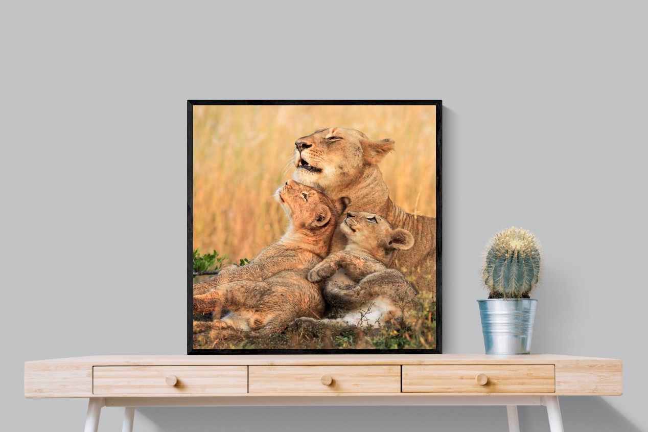 Pixalot Lioness Embrace