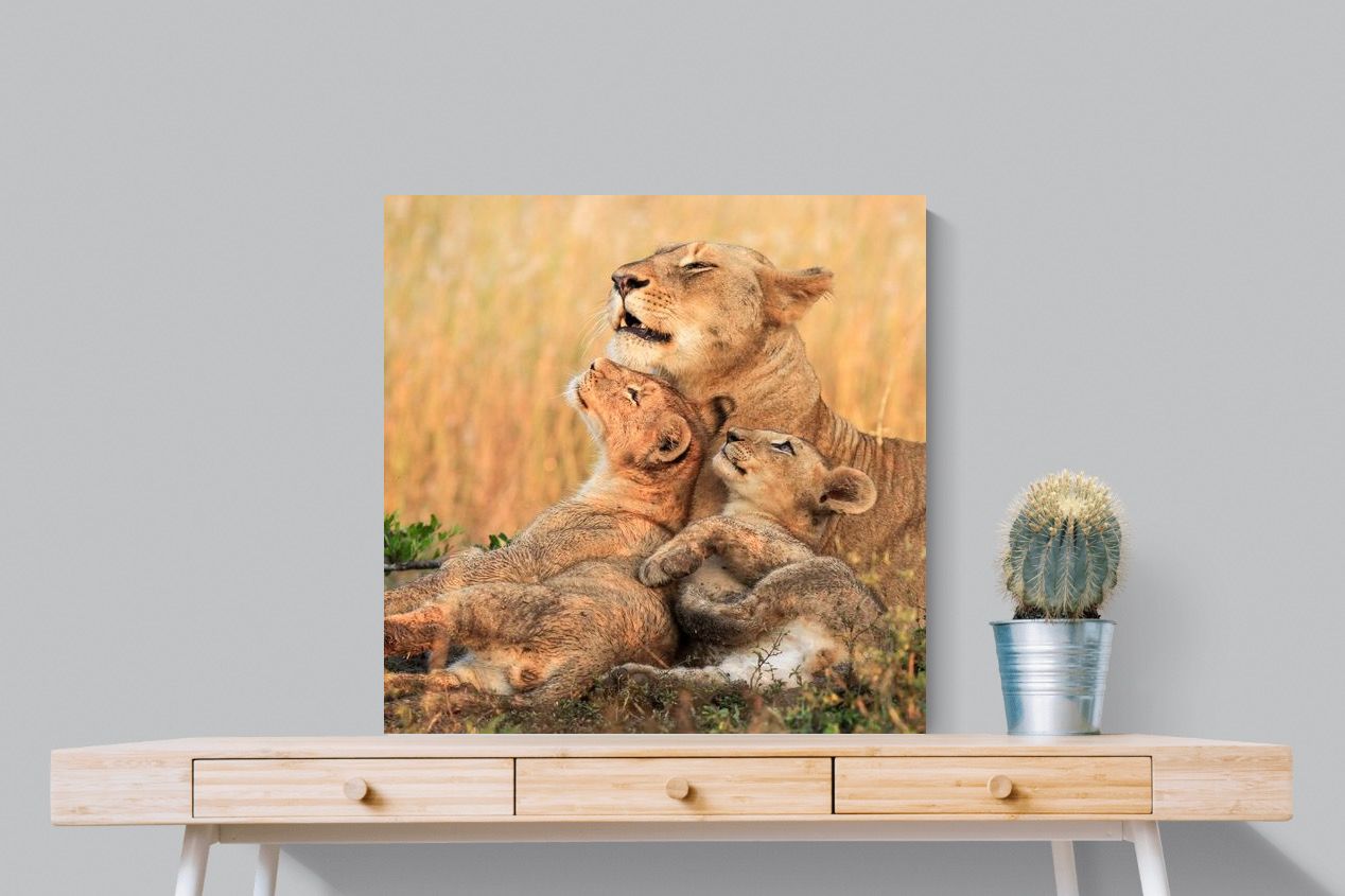 Pixalot Lioness Embrace
