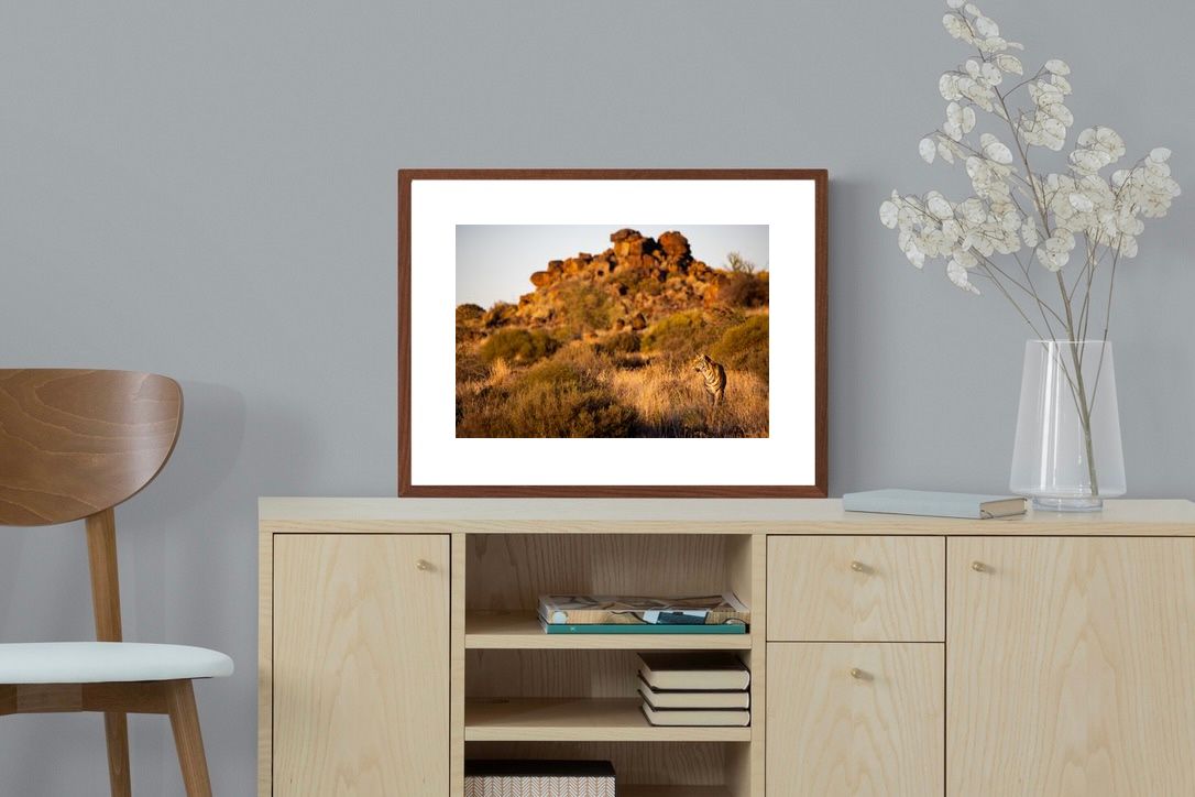 Pixalot Tiger Landscape