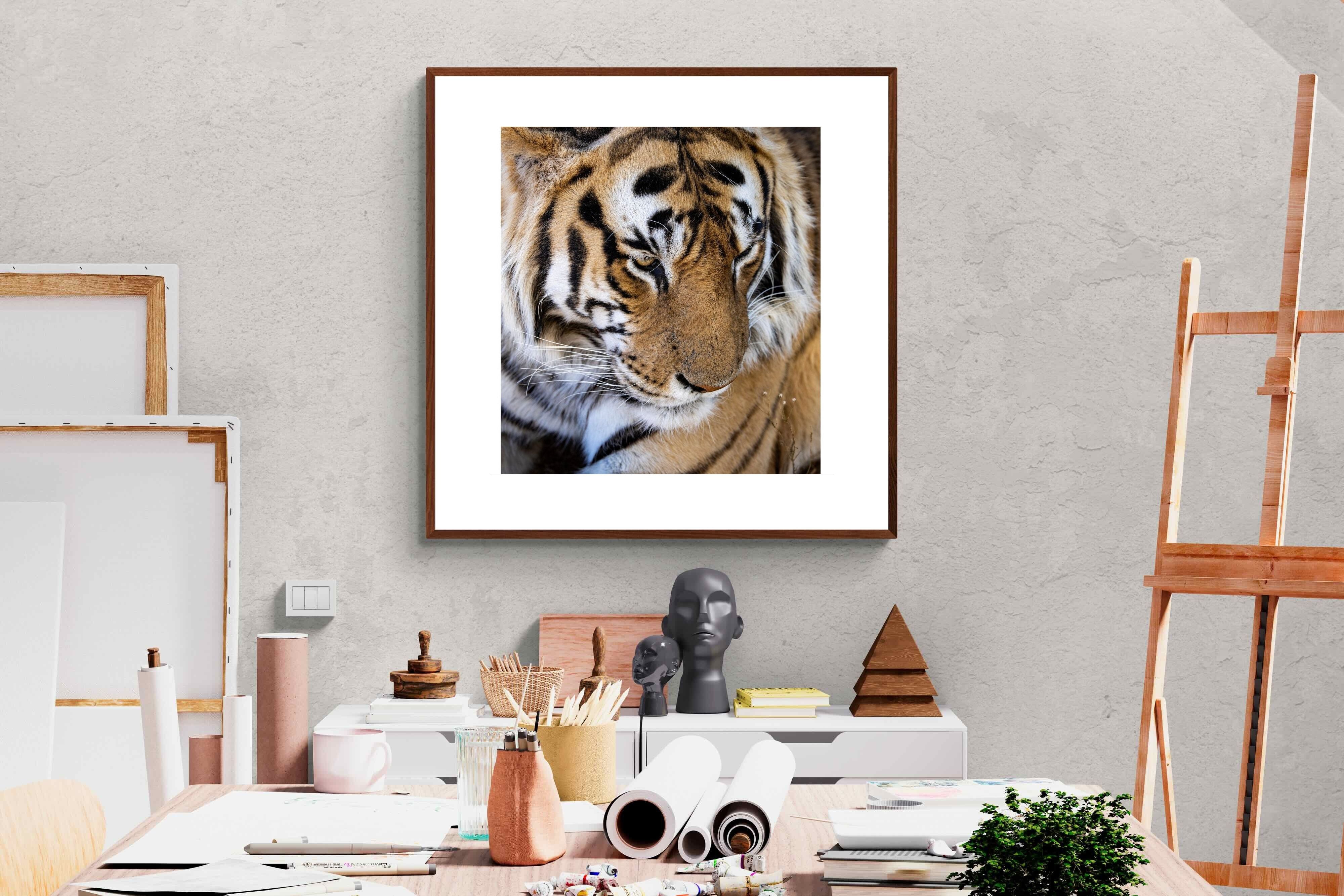 Pixalot Tiger Portrait