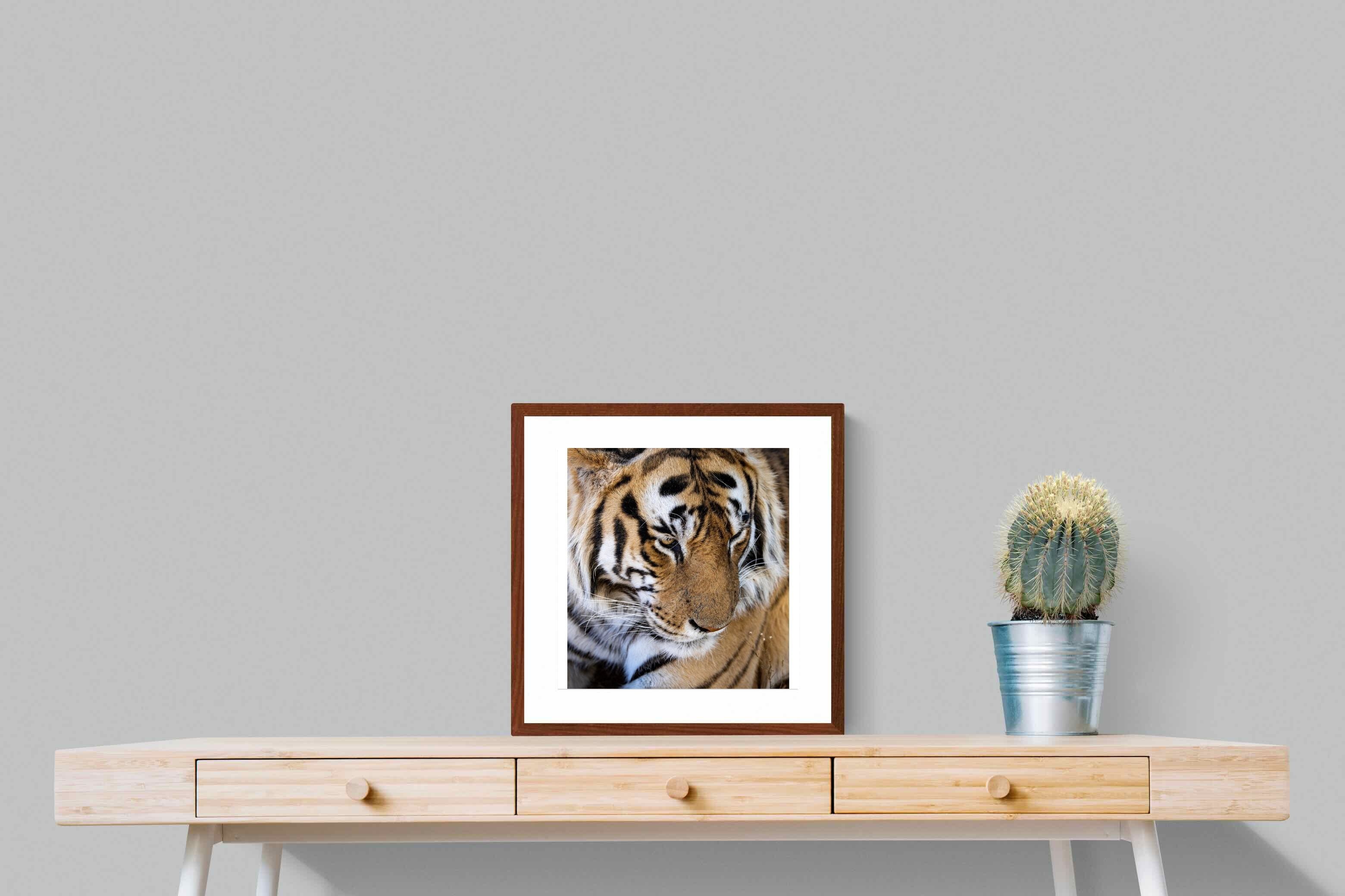 Pixalot Tiger Portrait