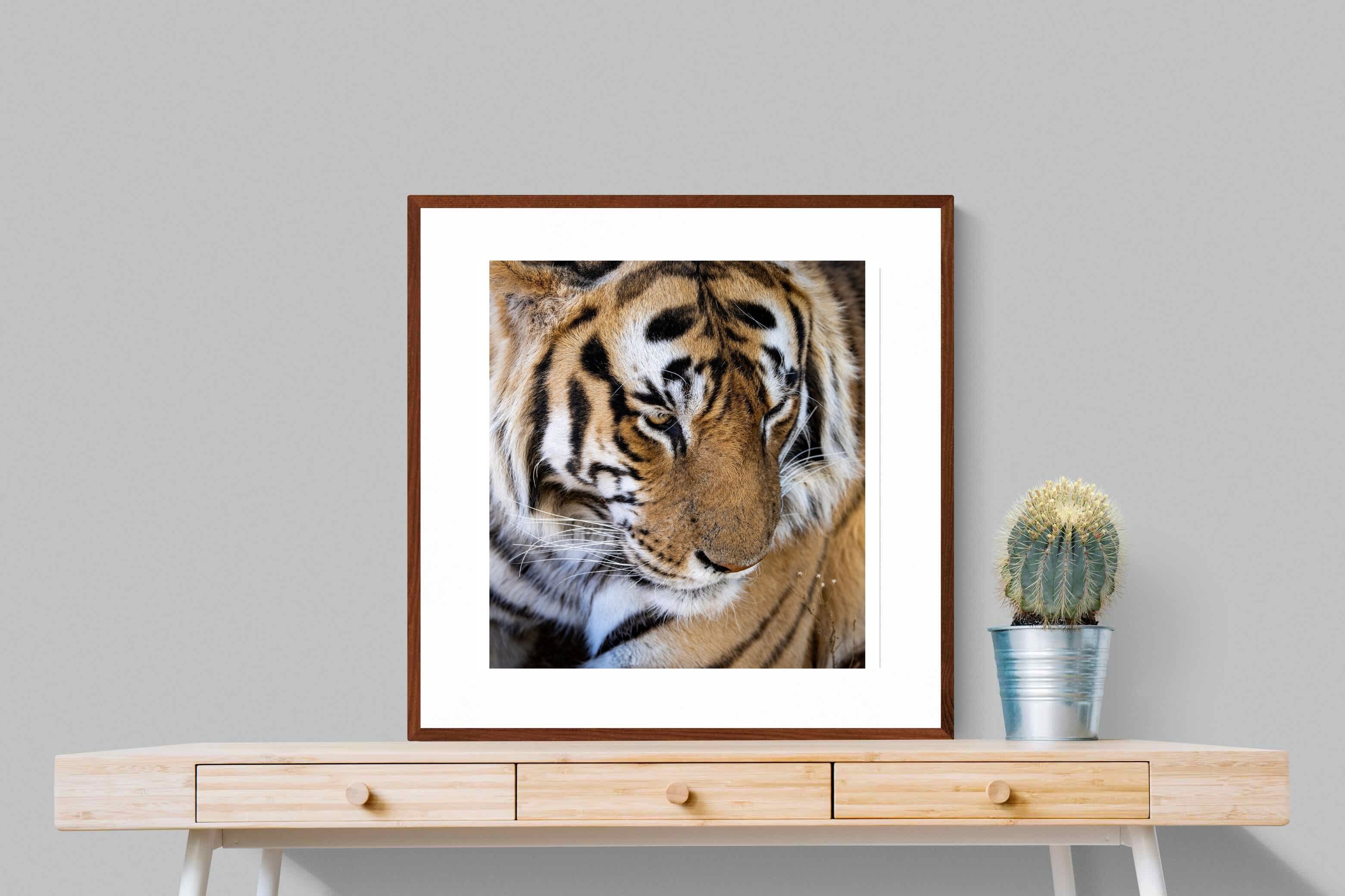 Pixalot Tiger Portrait