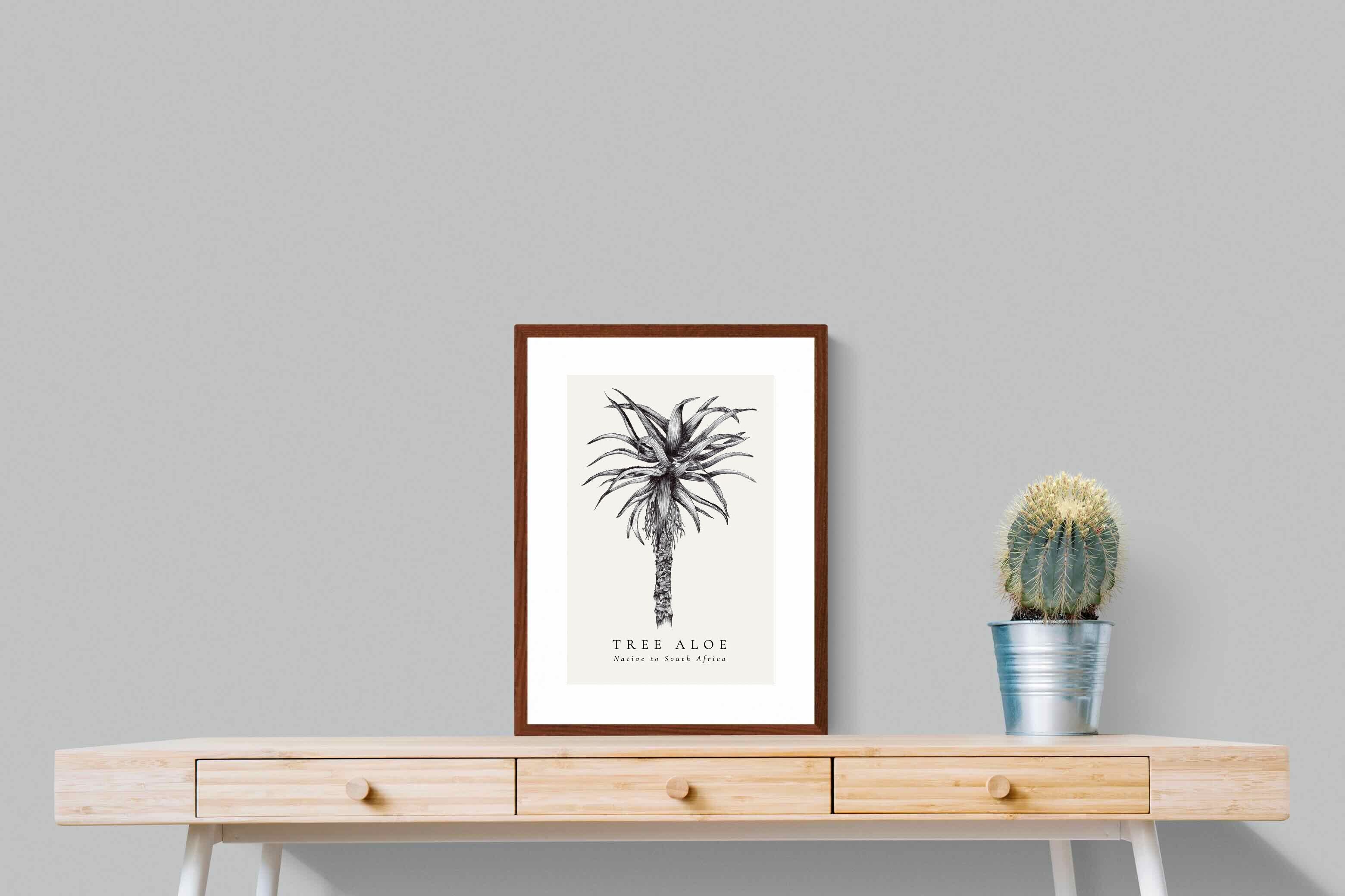 Pixalot ® Tree Aloe Illustration