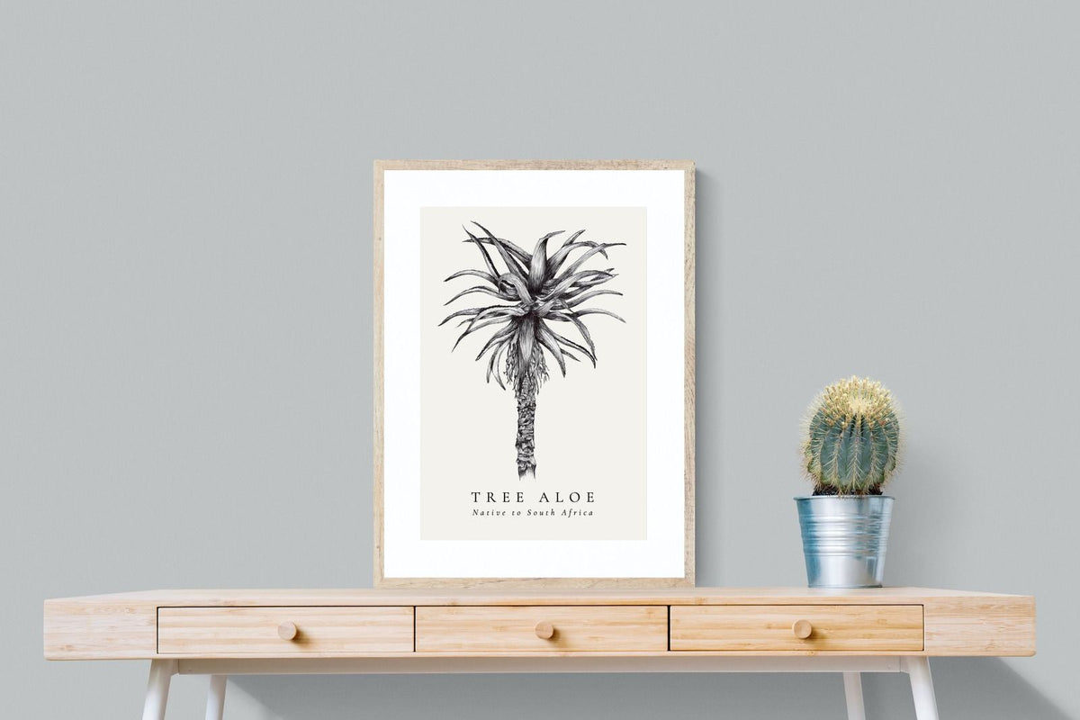 Pixalot ® Tree Aloe Illustration