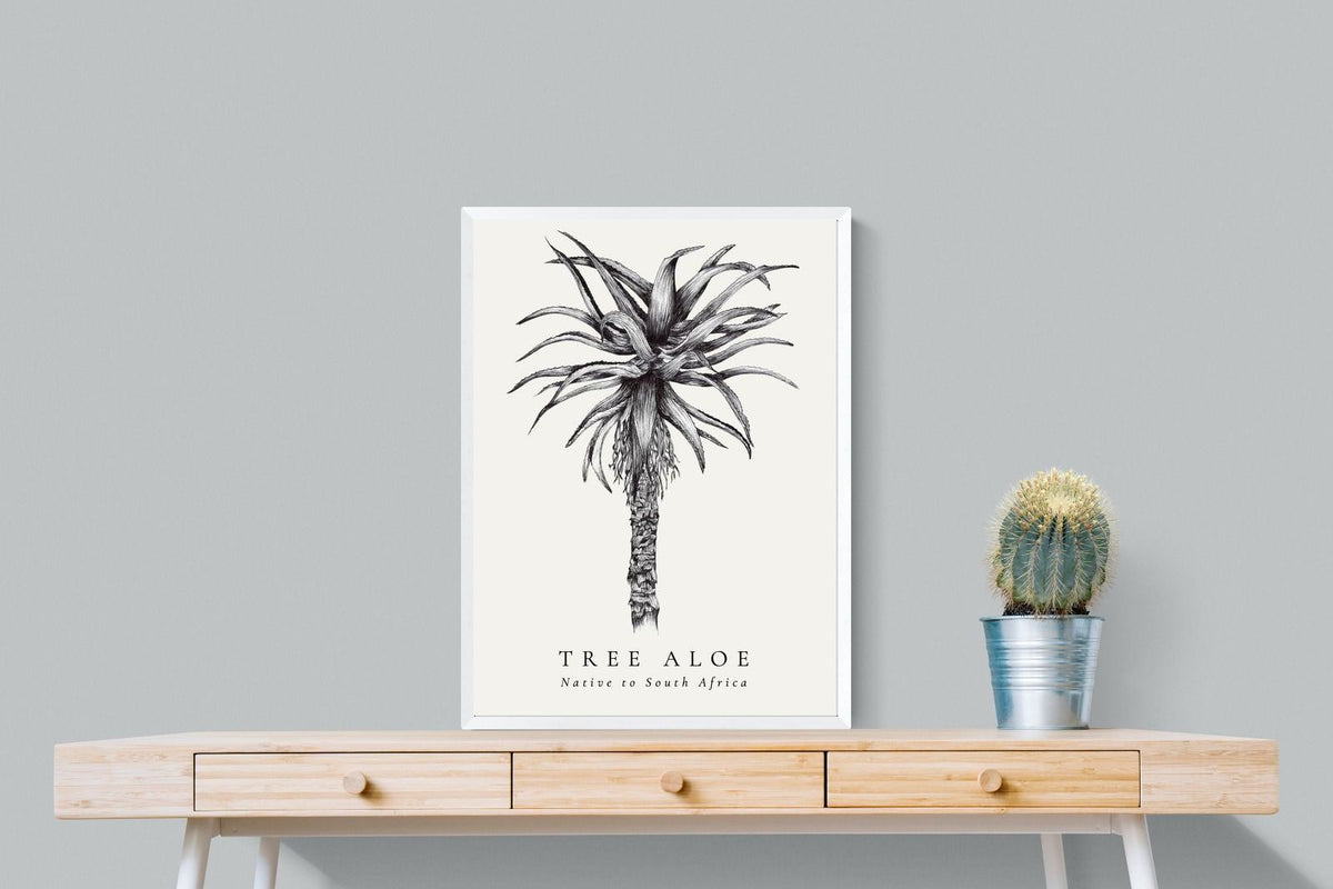 Pixalot ® Tree Aloe Illustration
