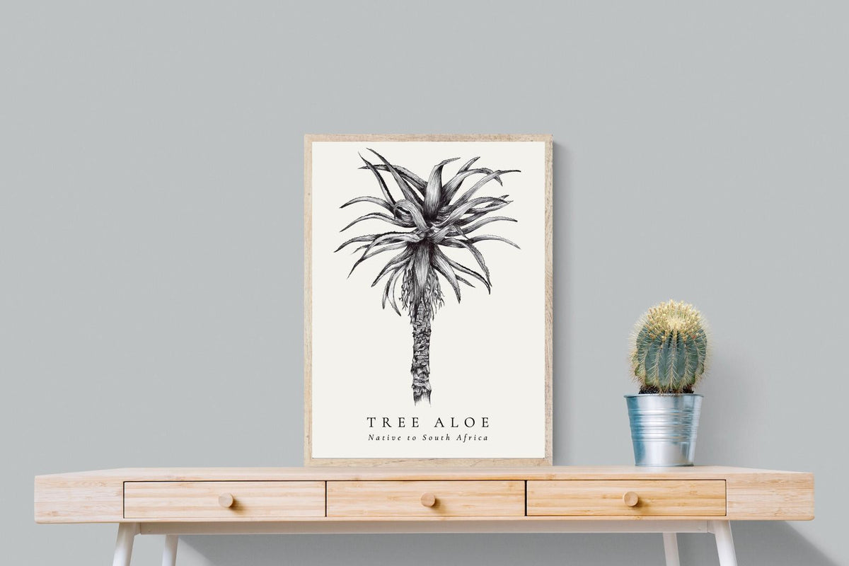 Pixalot ® Tree Aloe Illustration