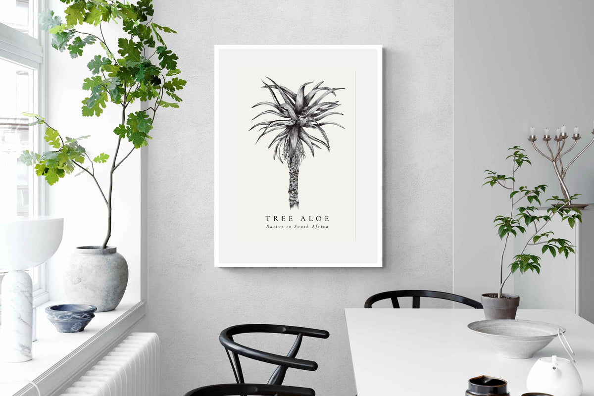 Pixalot ® Tree Aloe Illustration