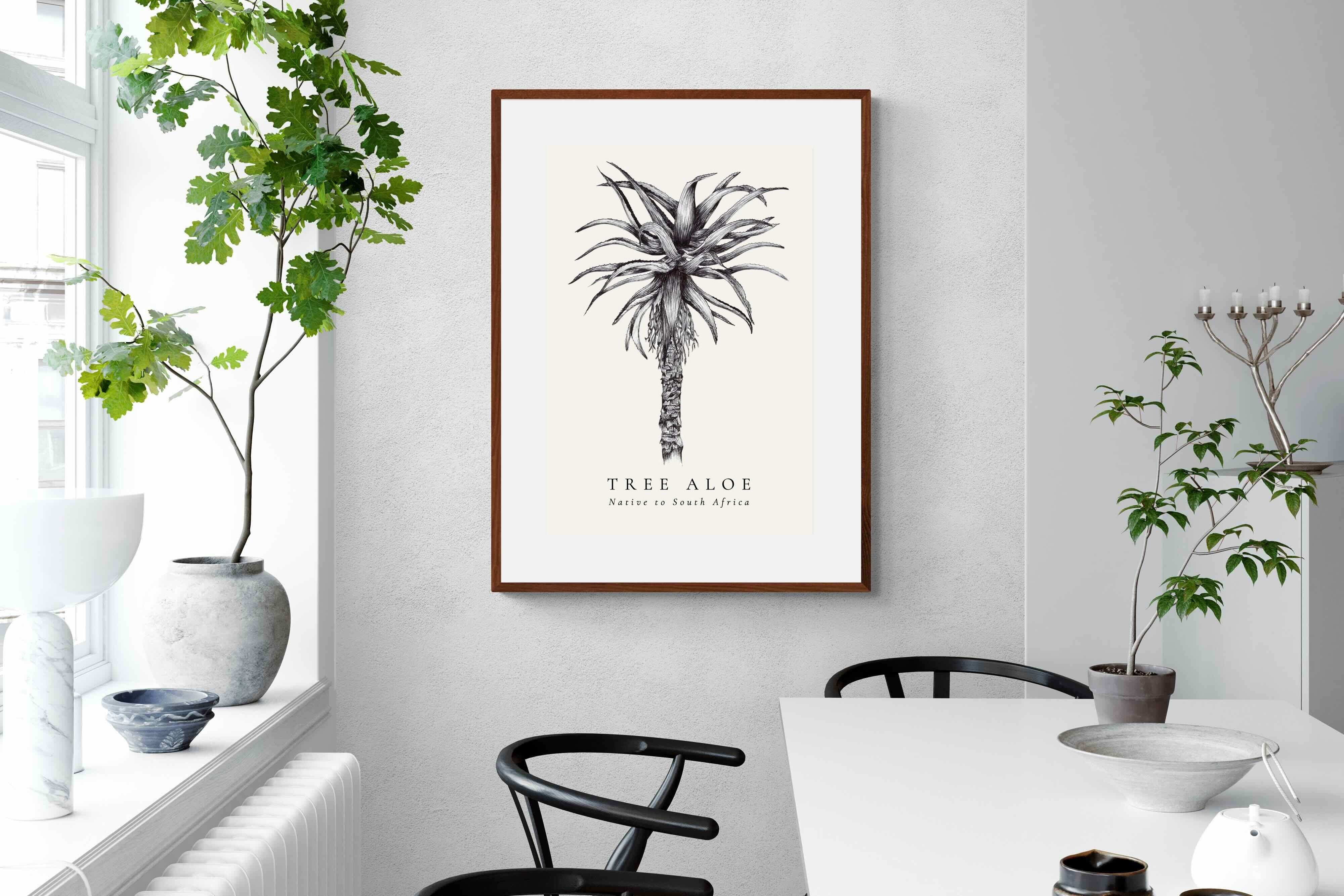 Pixalot ® Tree Aloe Illustration