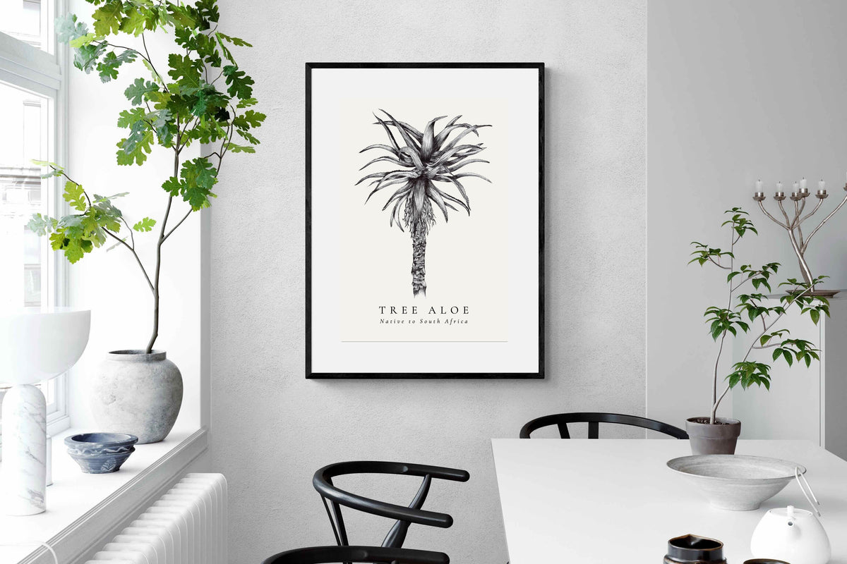 Pixalot ® Tree Aloe Illustration