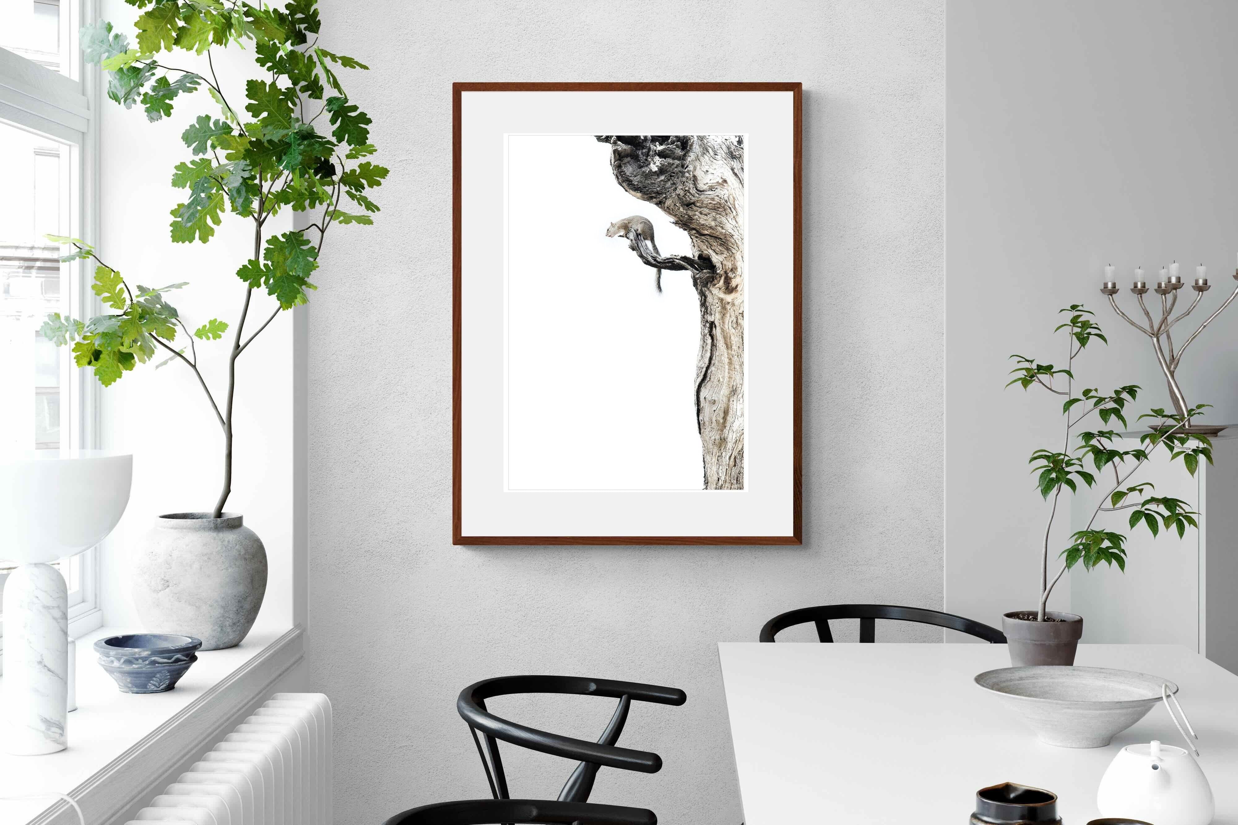 Pixalot Tree Squirrel