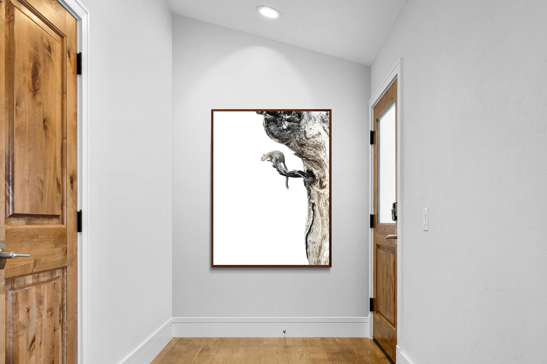 Pixalot Tree Squirrel