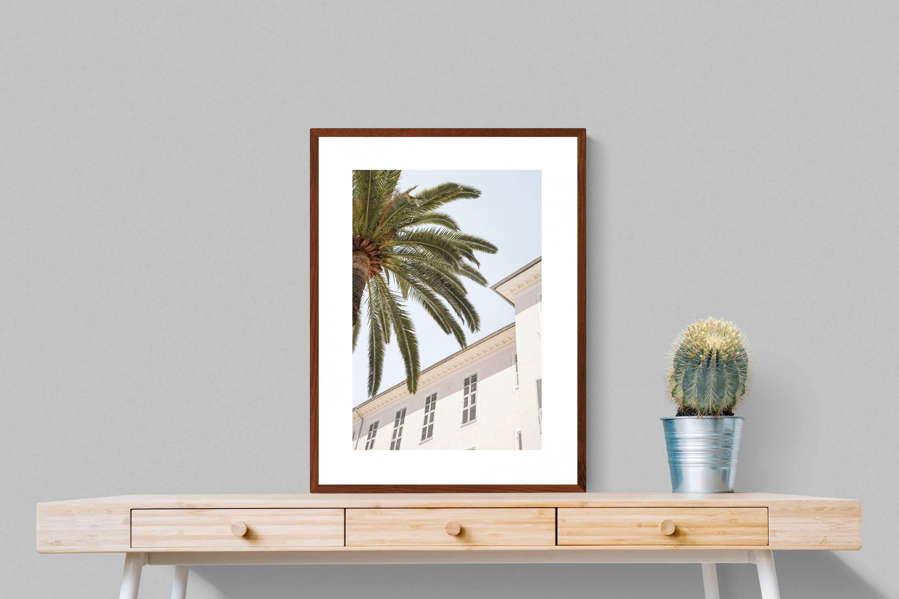 Pixalot Tropical Menton