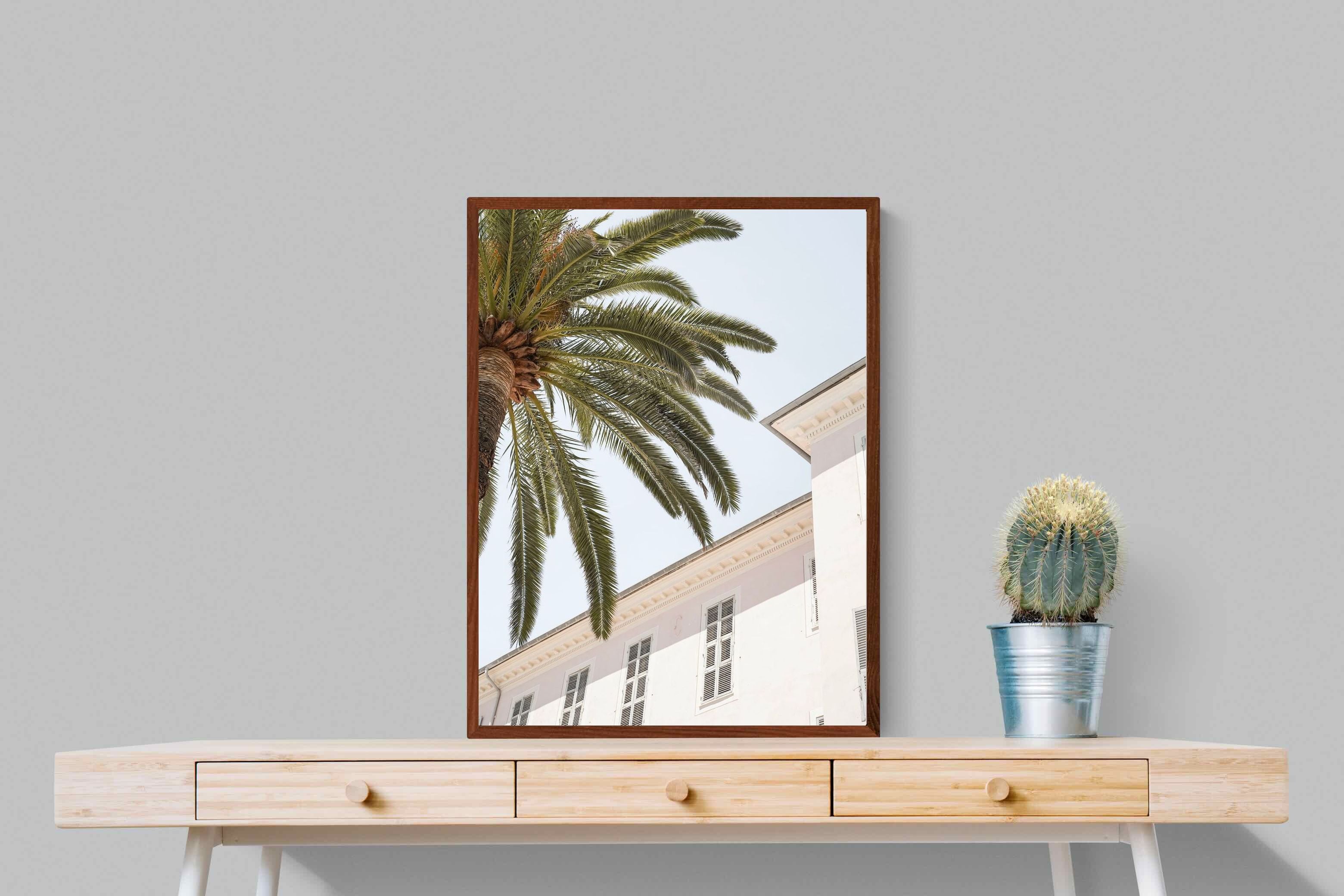Pixalot Tropical Menton