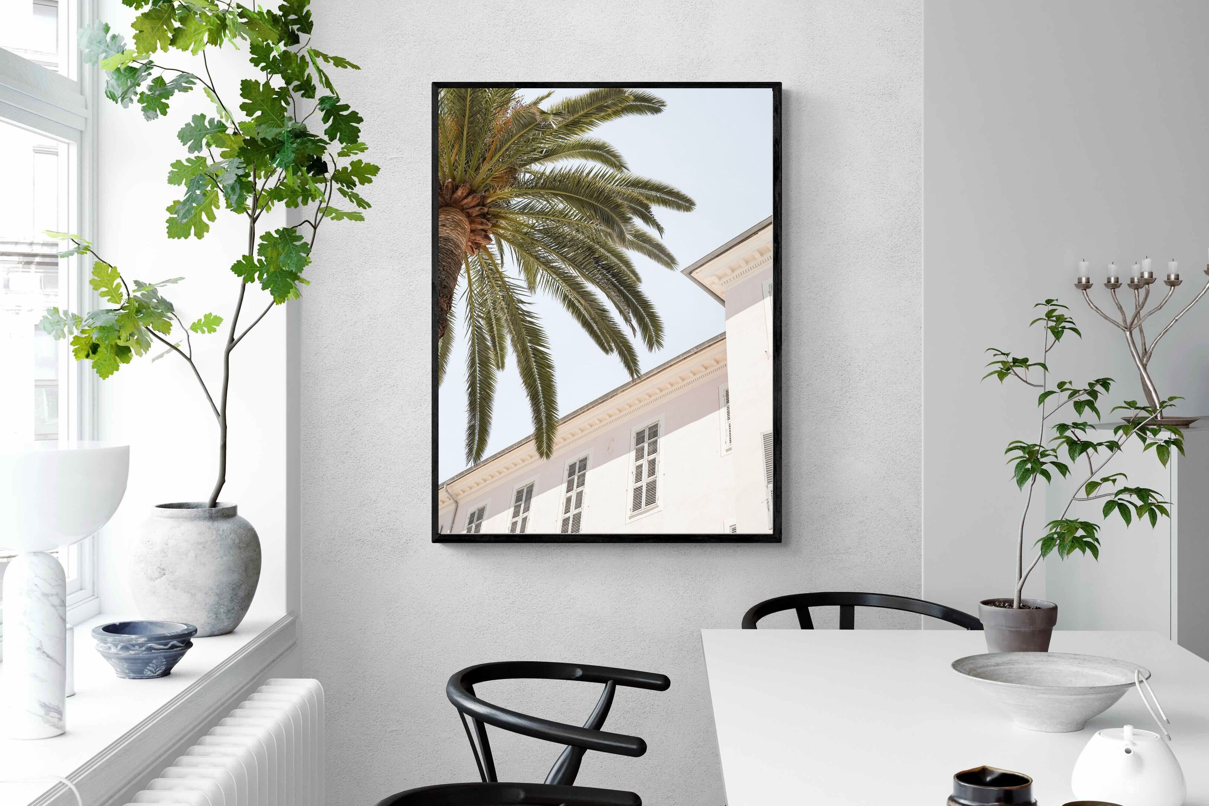 Pixalot Tropical Menton