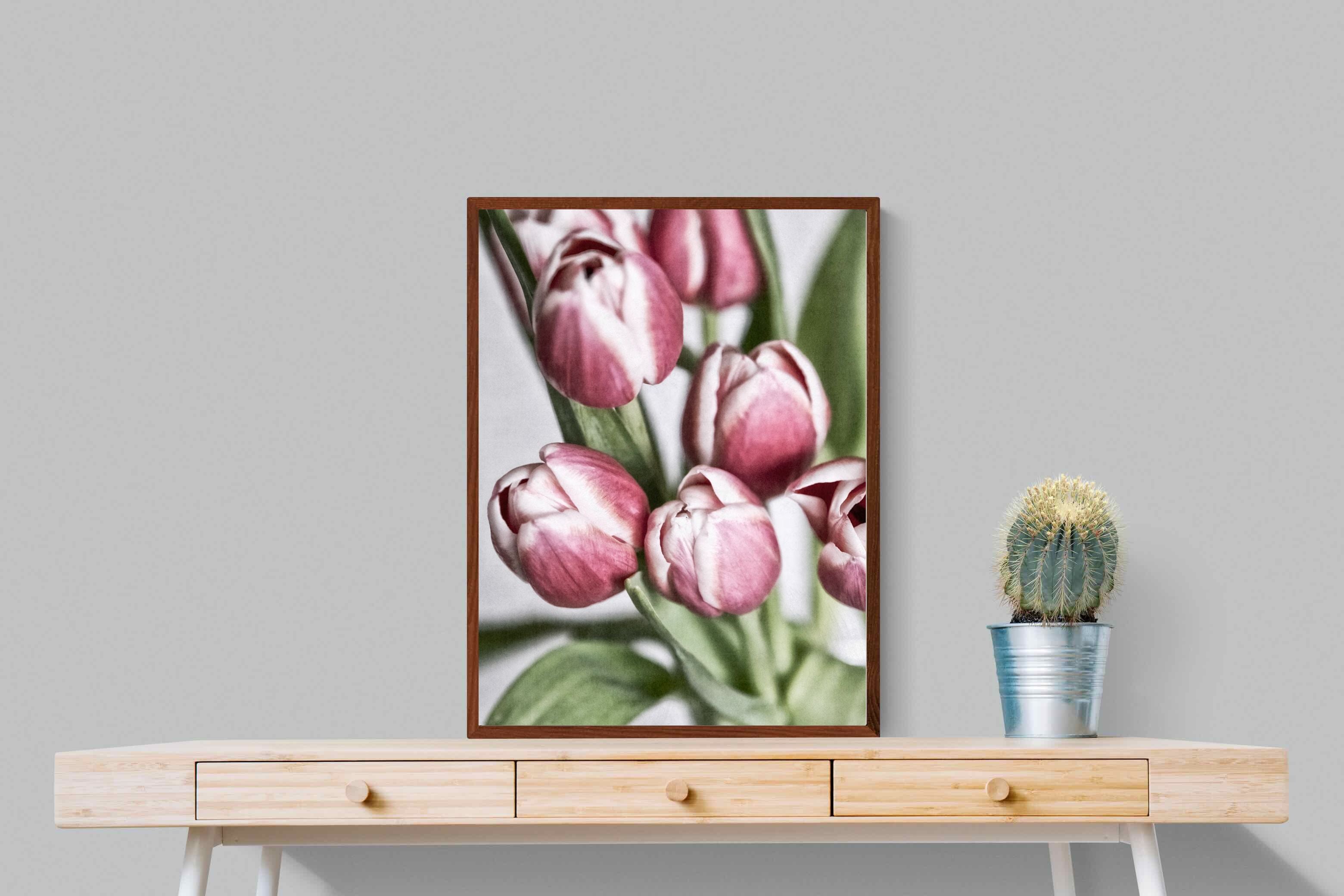 Pixalot Tulip Bunch