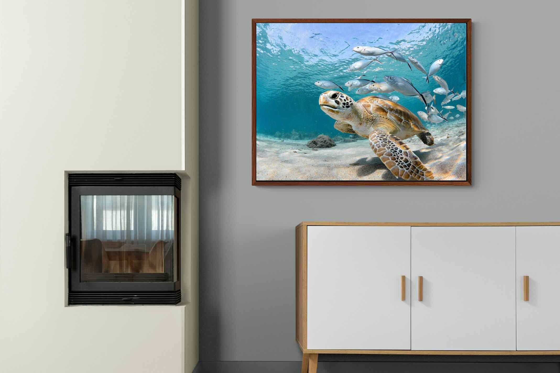 Pixalot ® Turtle