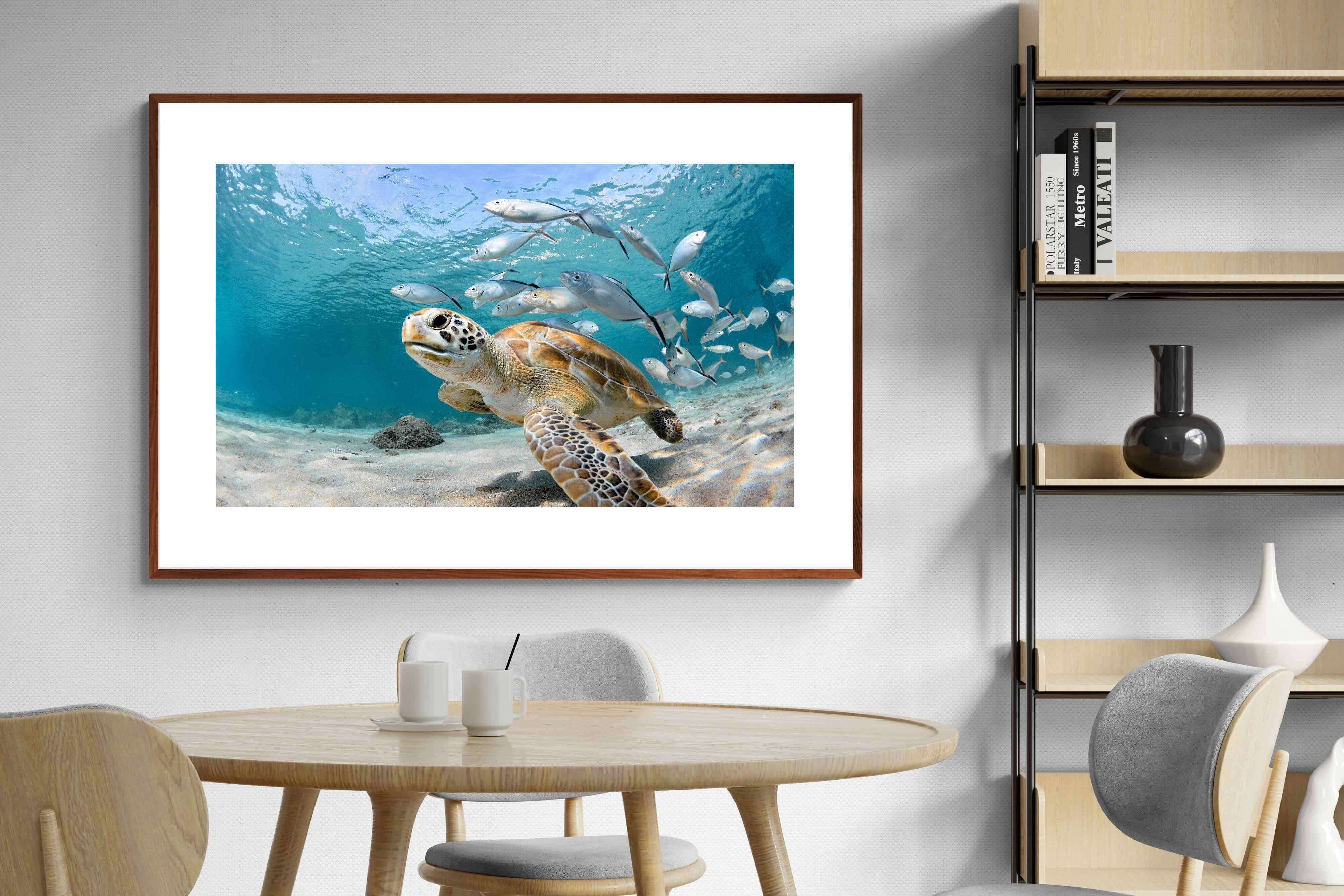 Pixalot ® Turtle