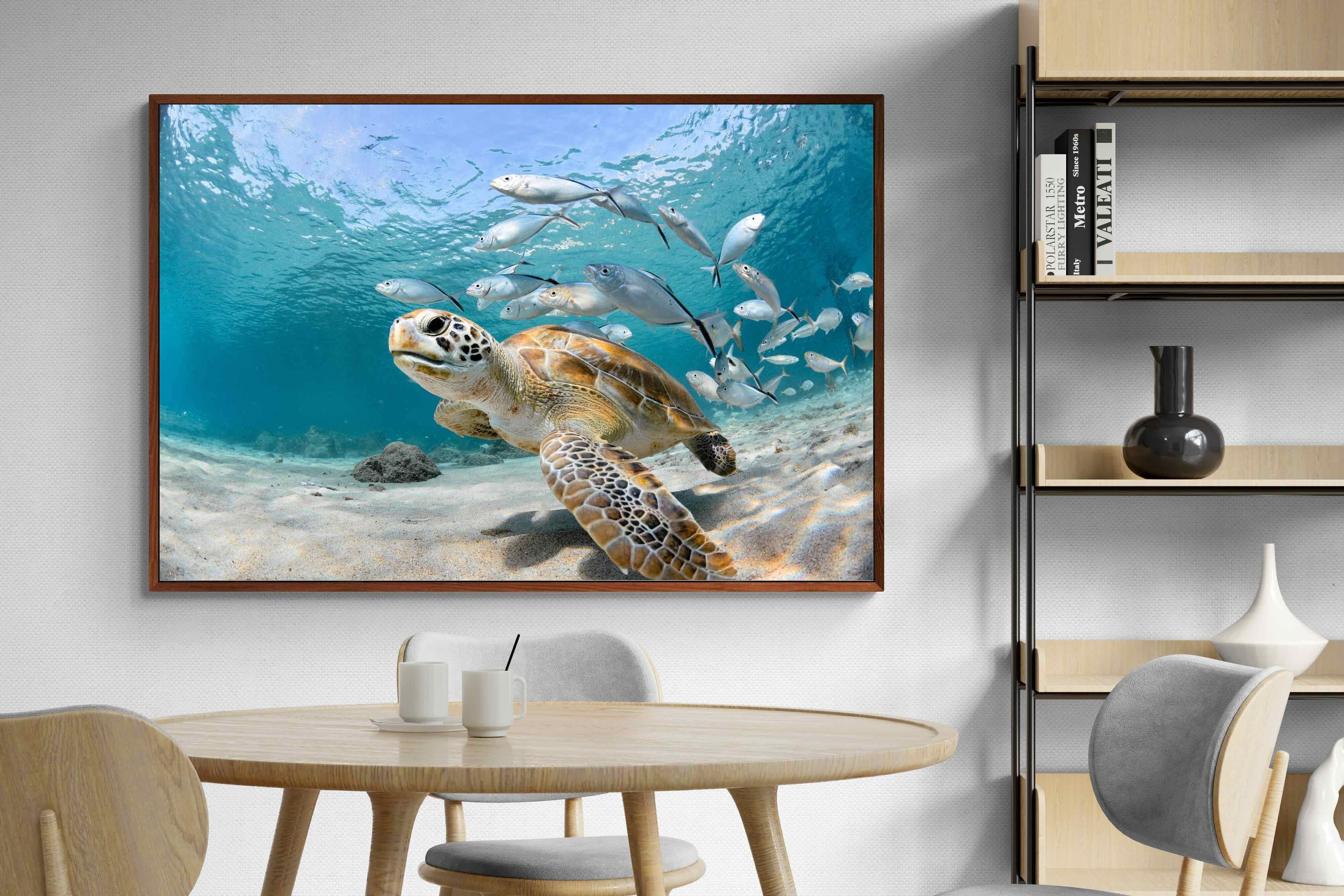 Pixalot ® Turtle