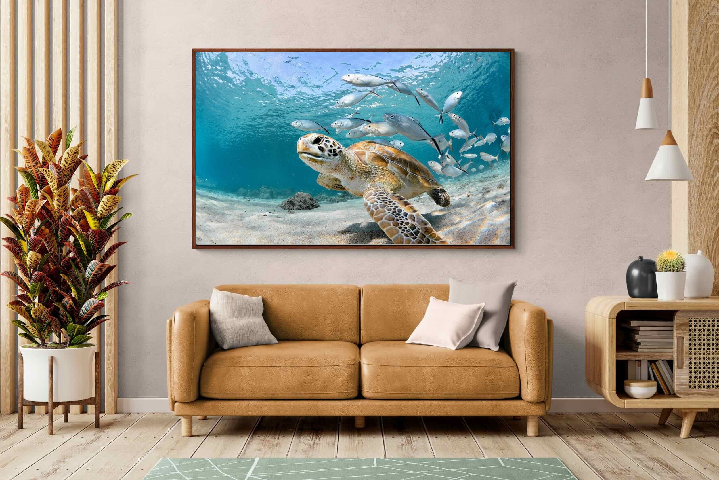 Pixalot ® Turtle
