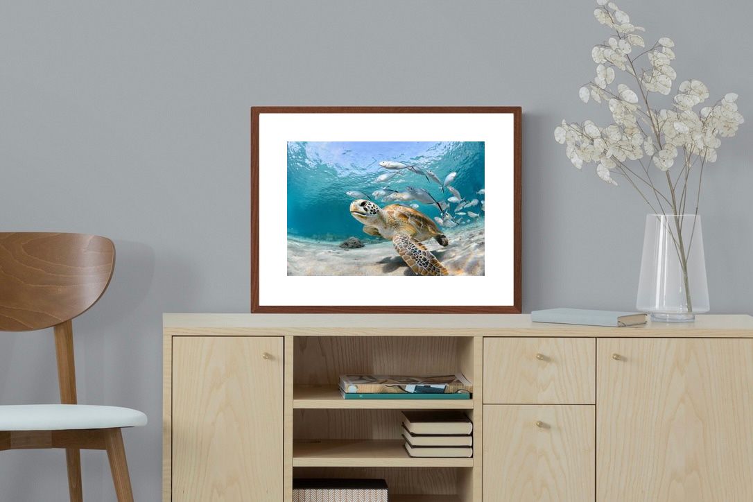 Pixalot ® Turtle