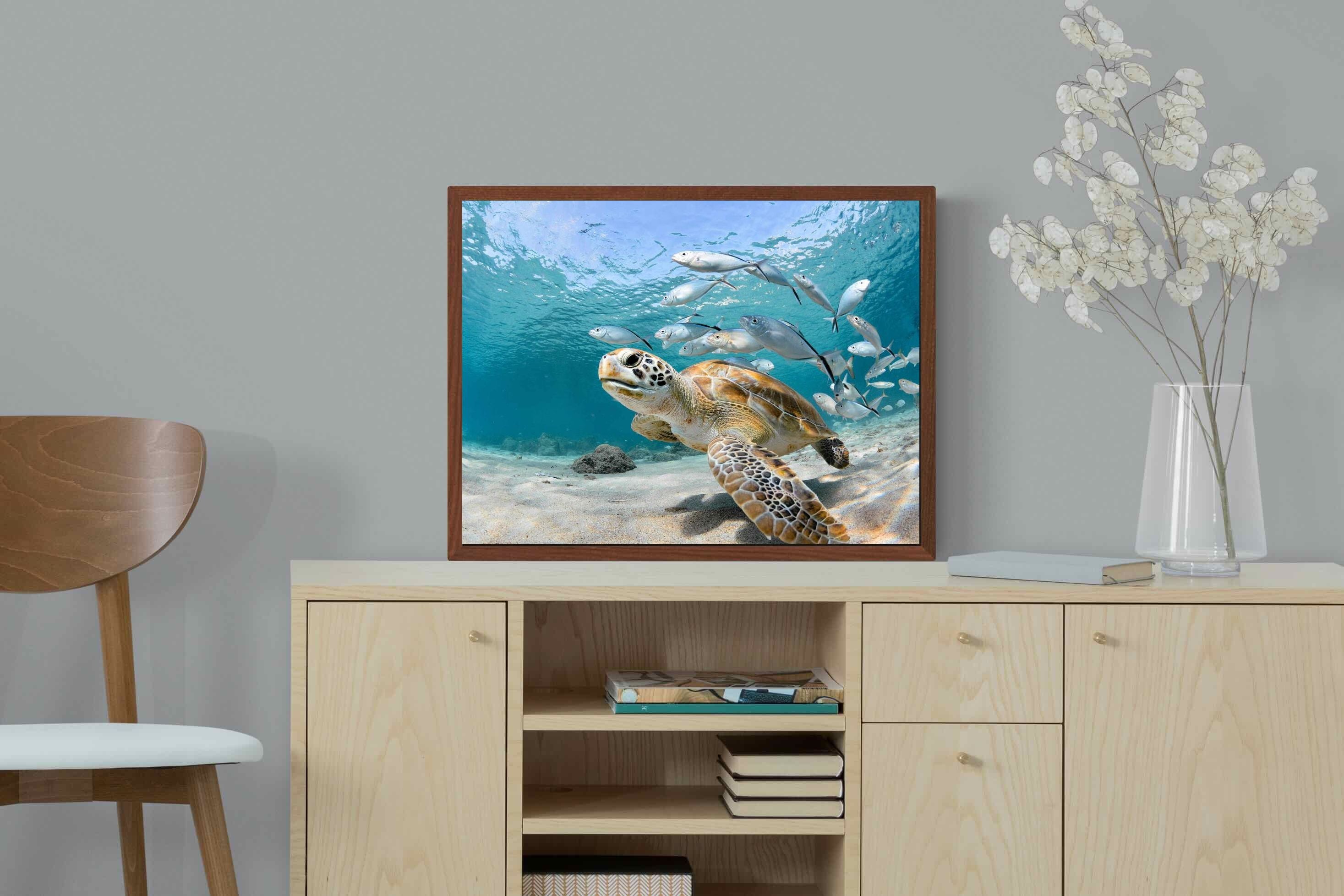 Pixalot ® Turtle